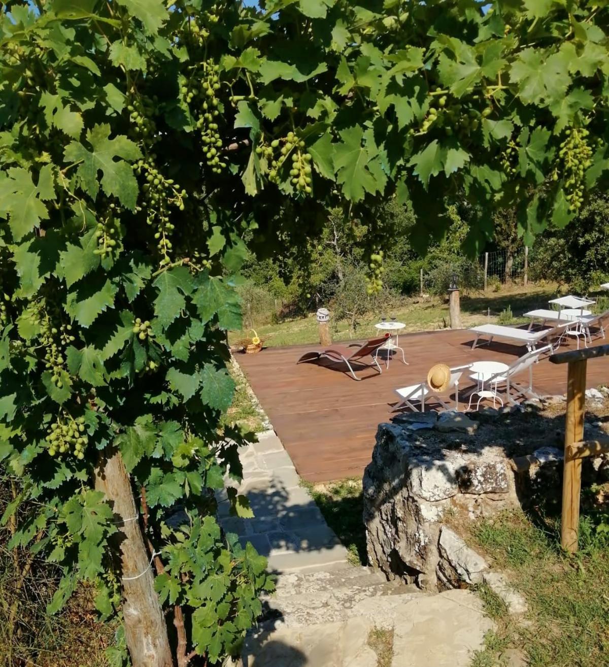 B&B CASAGRANDE view 4