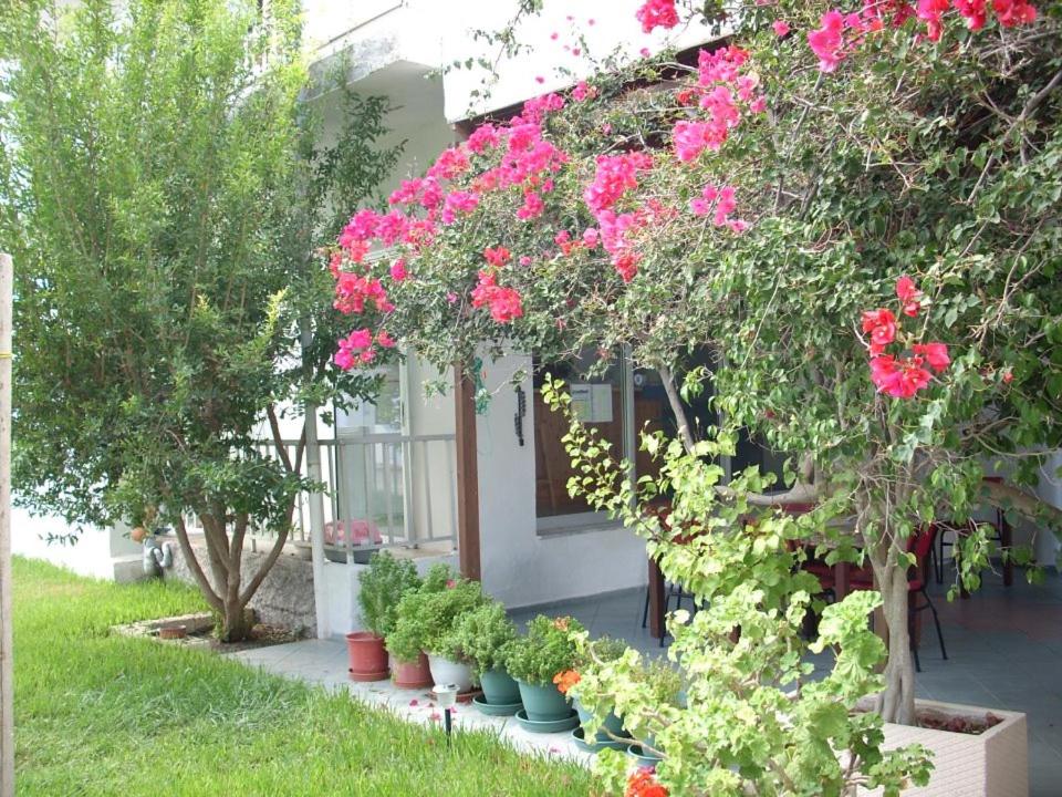 Photo 21