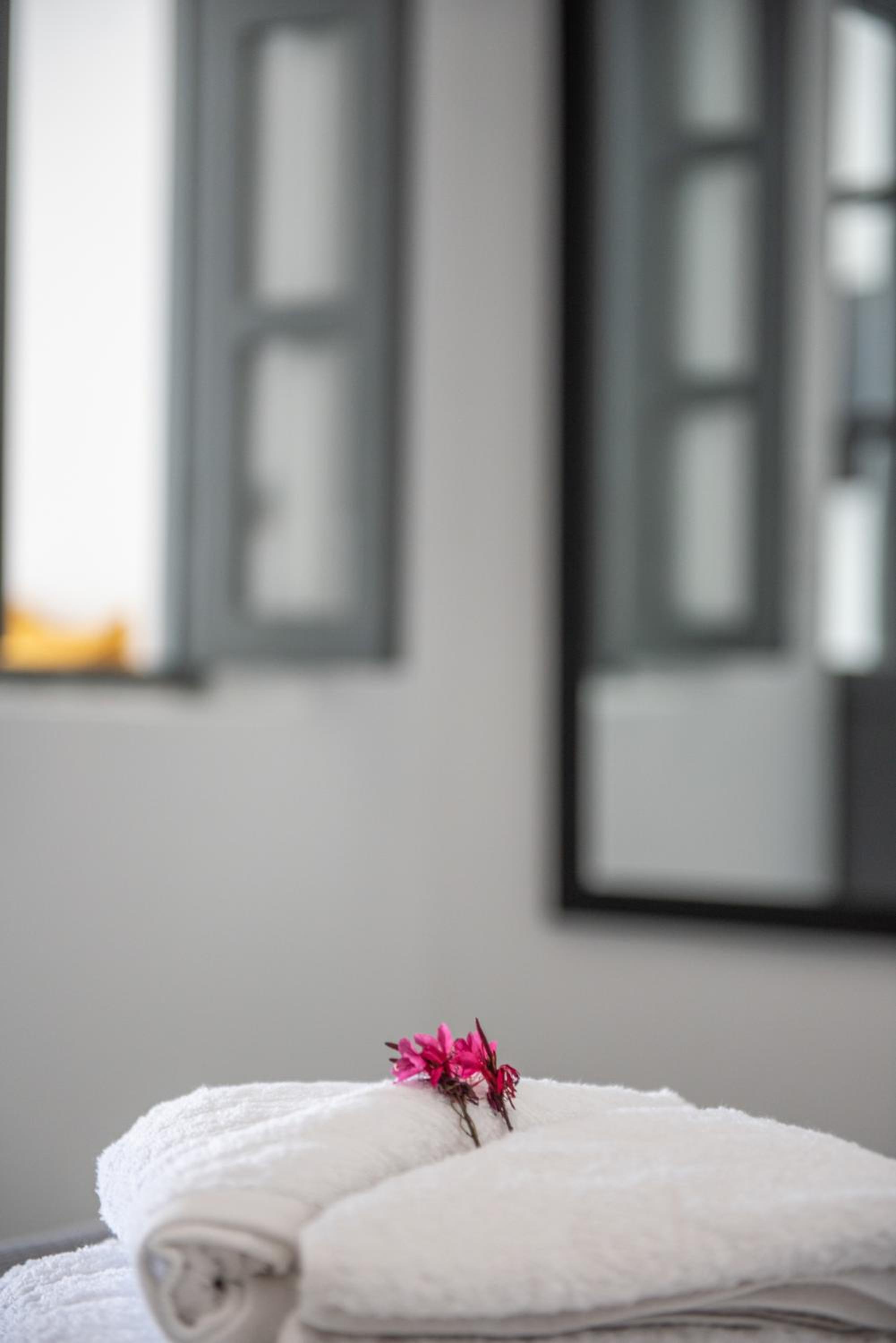 Noelia Suites