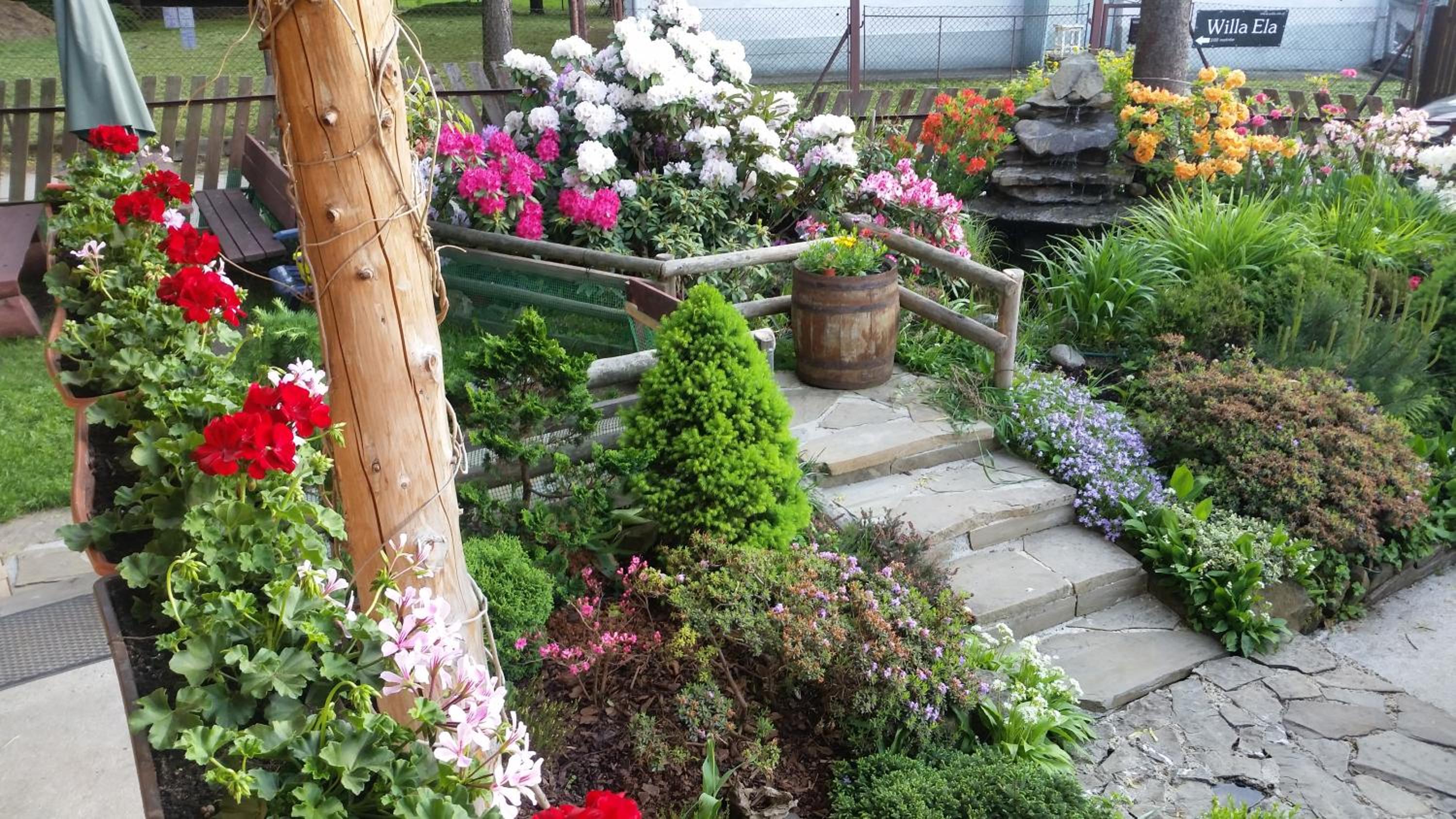 Photo 24