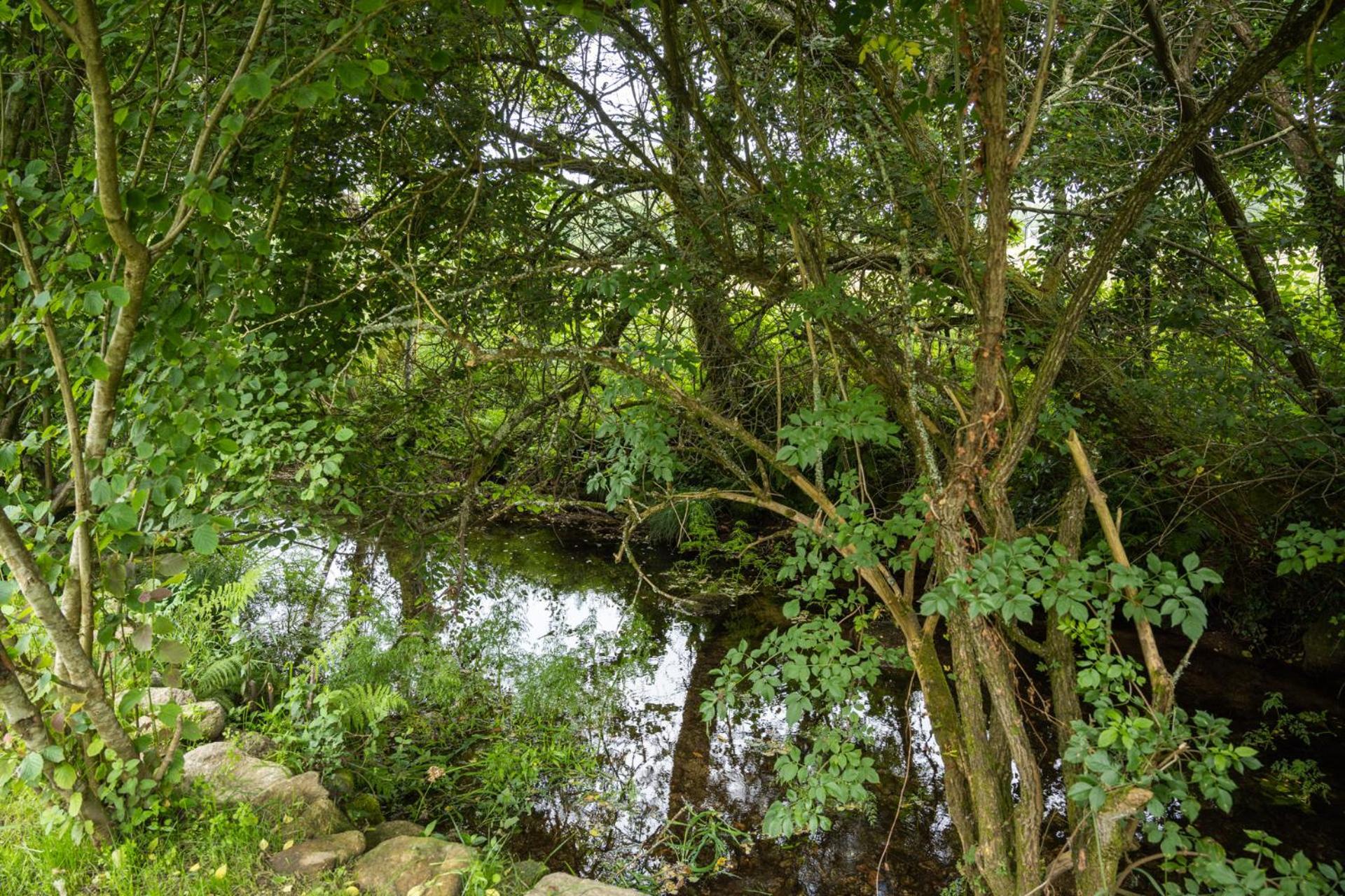 Photo 49