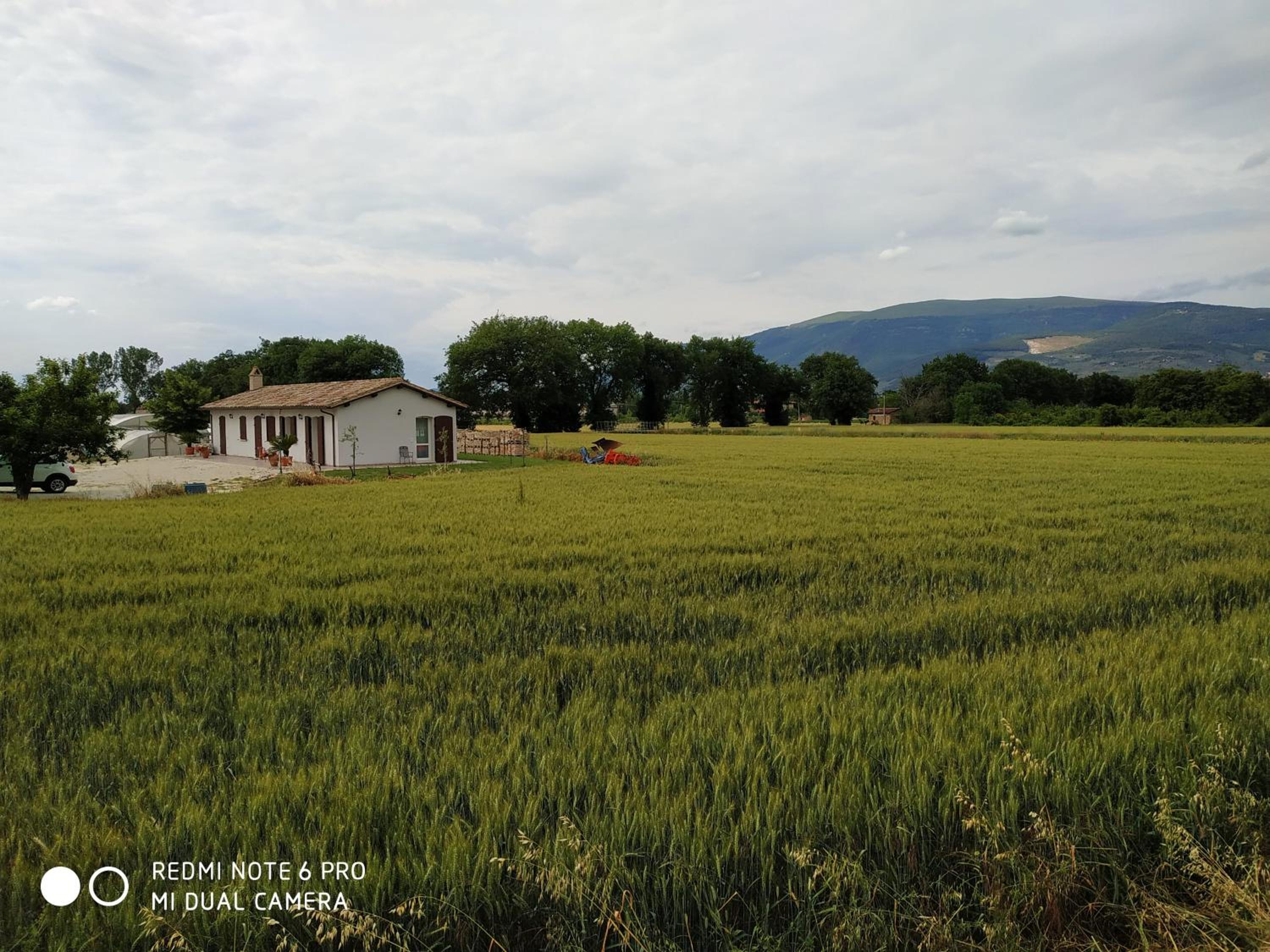 AGRITURISMO " LE SERRE" view 4