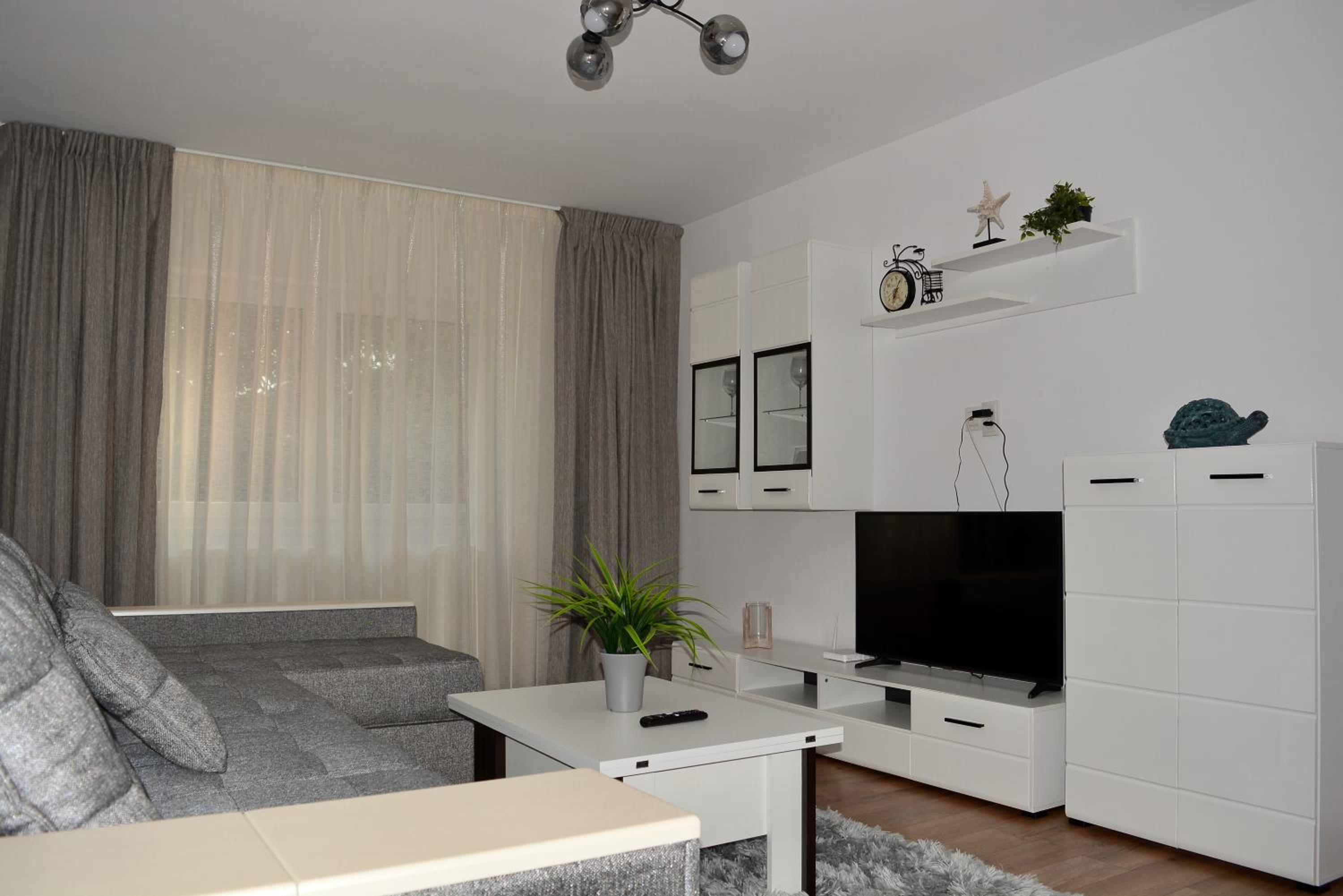 Apartament Tolstoi view 4