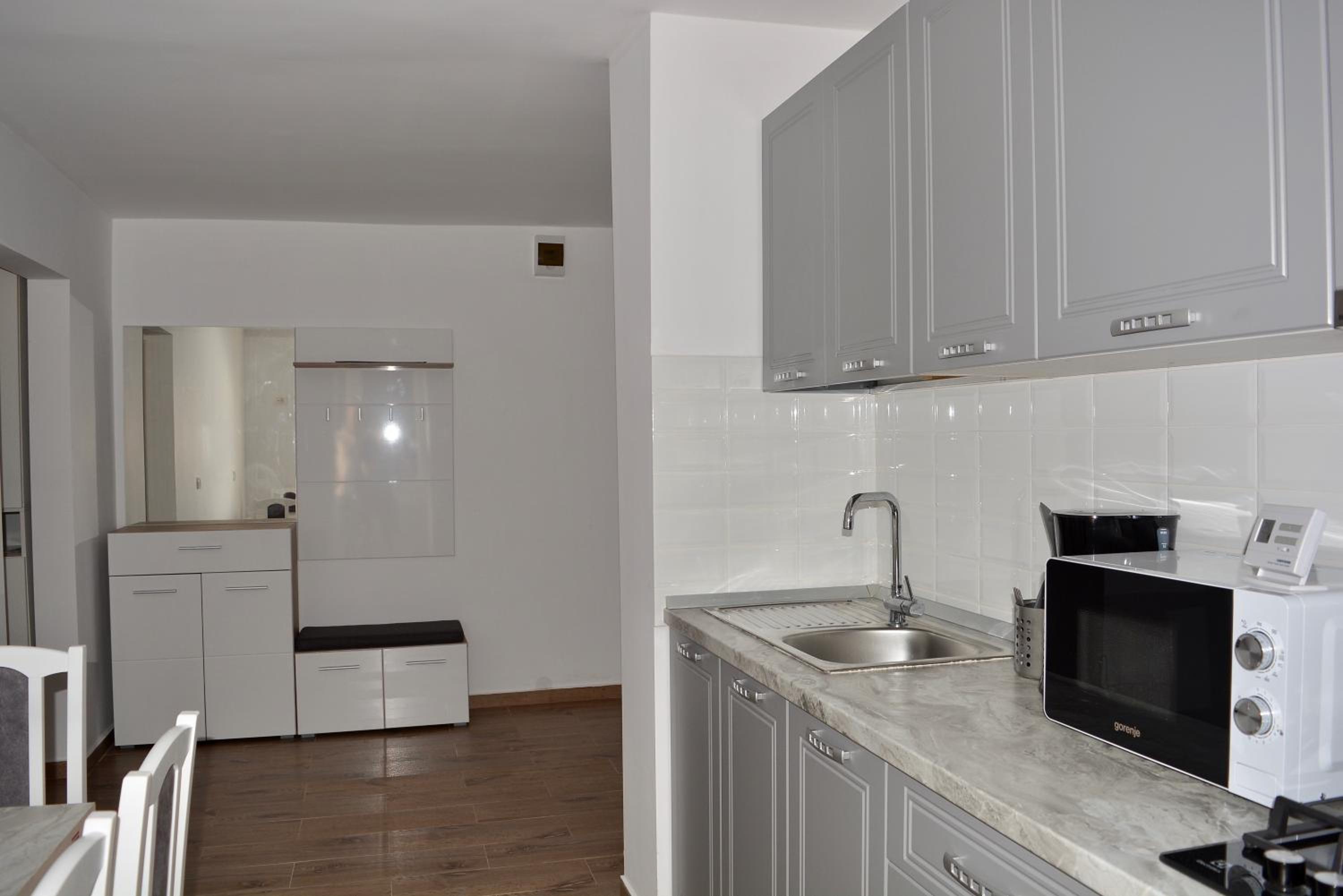 Apartament Tolstoi view 5