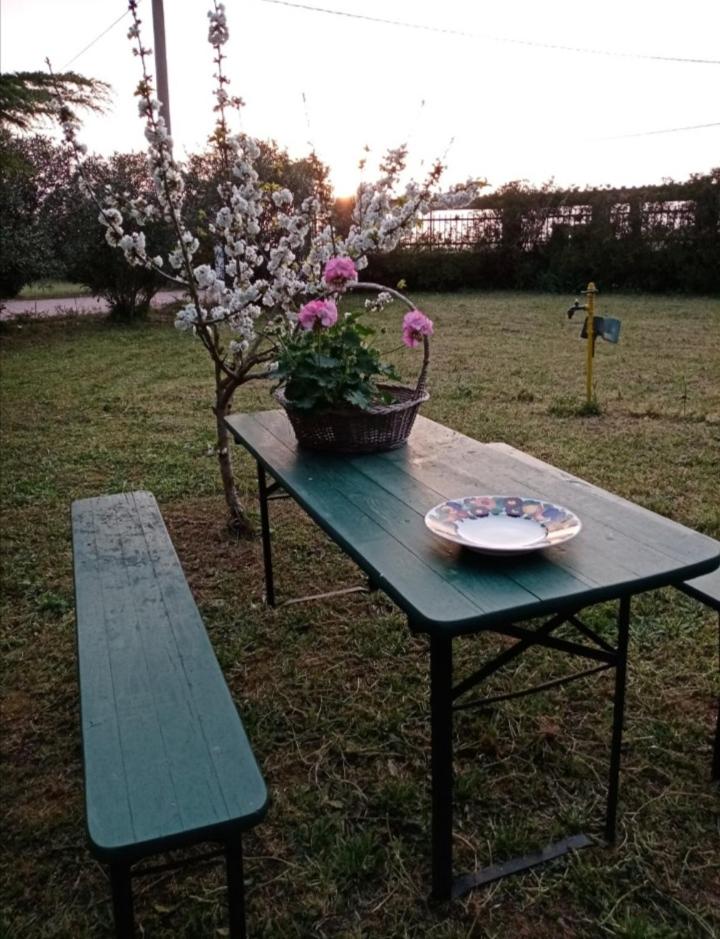 La dimora di Nonno Nuccio view 5