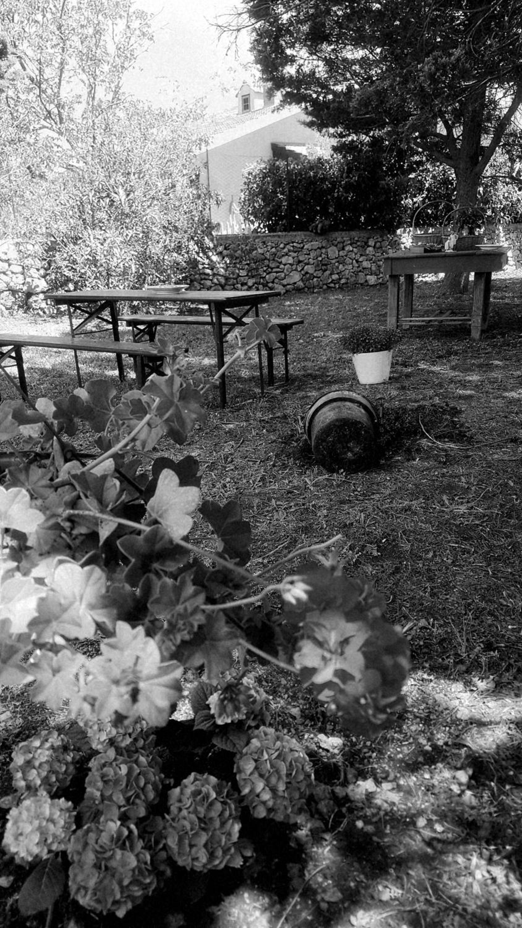 La dimora di Nonno Nuccio view 2