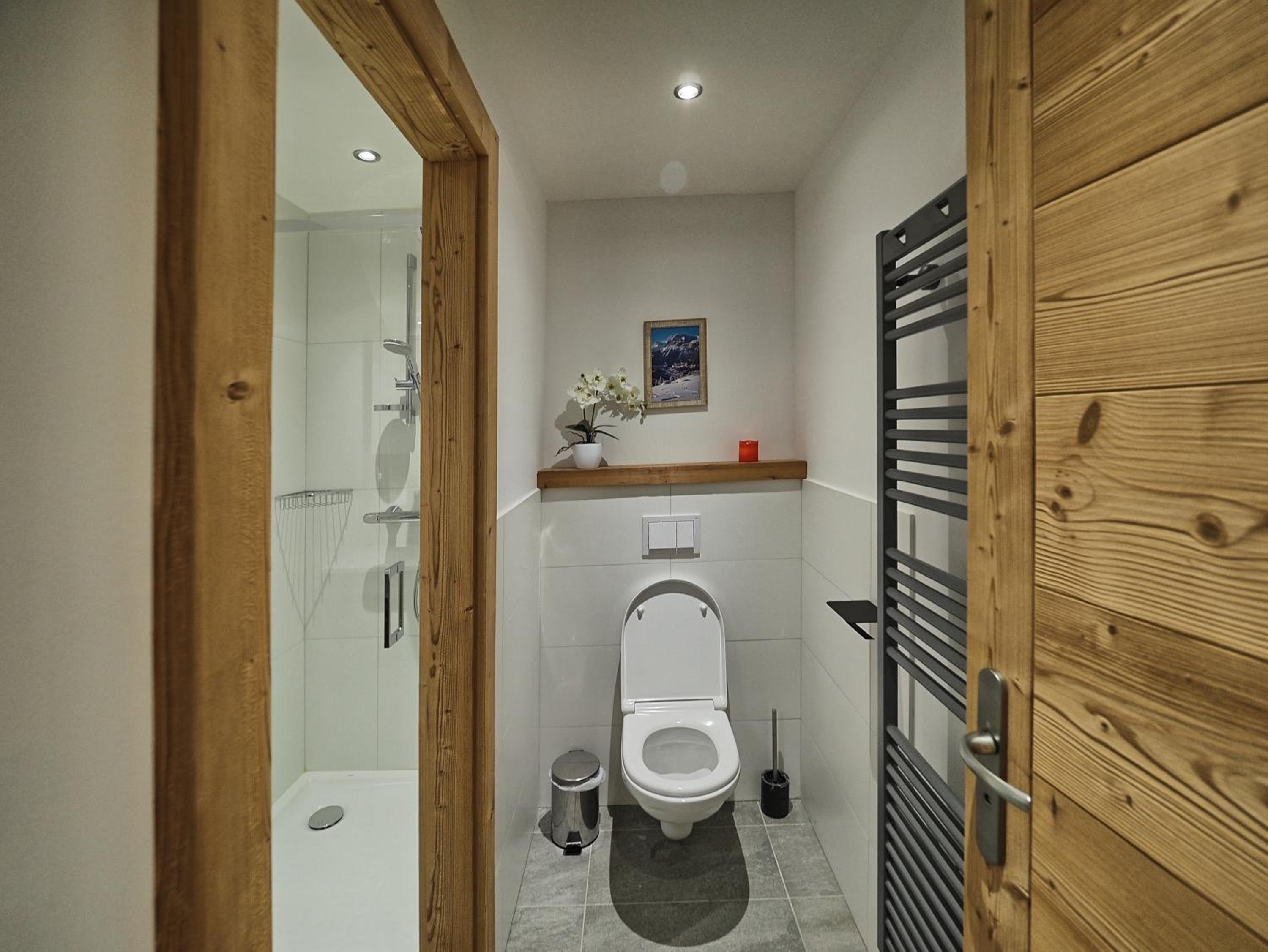 Chalet Arpitan - les Carroz - Grand Massif