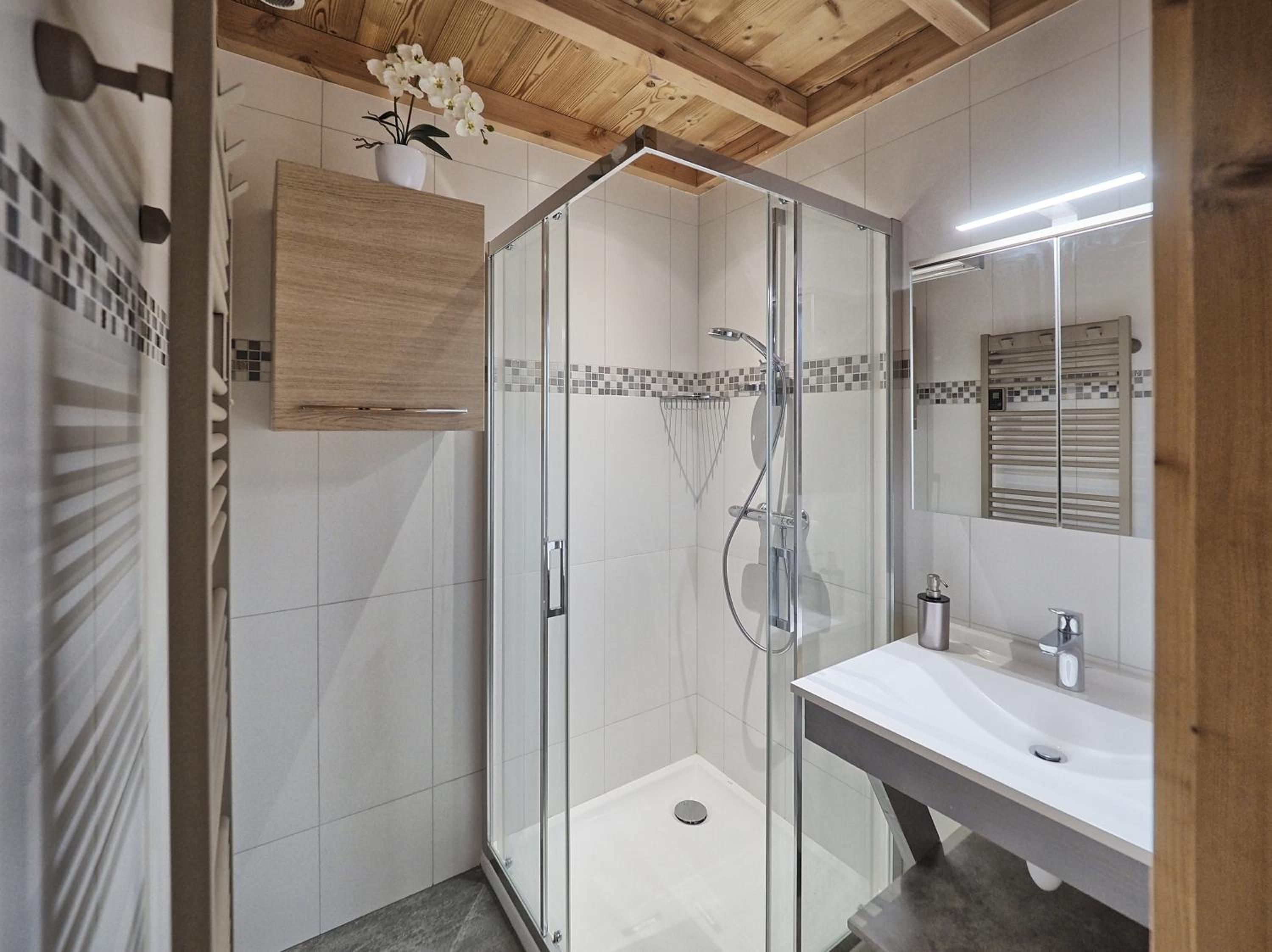 Chalet Arpitan - les Carroz - Grand Massif