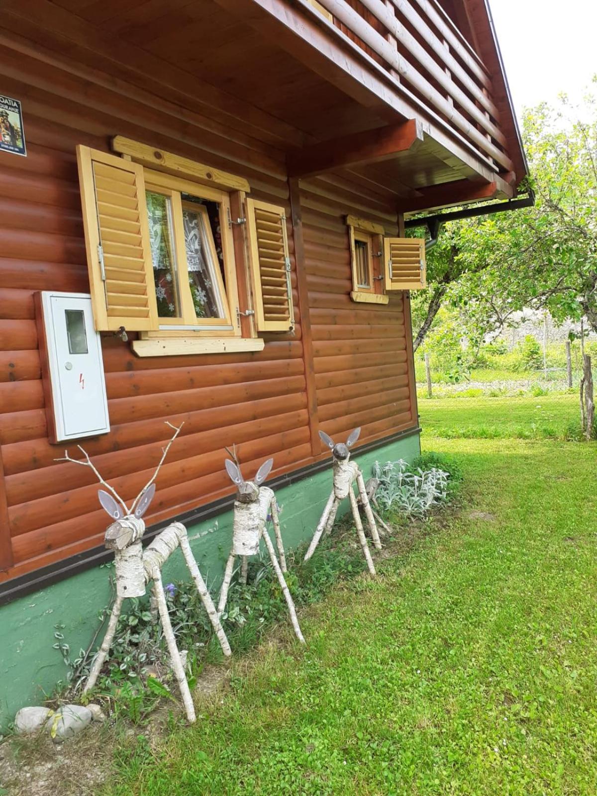Petit chalet Belosevic view 5