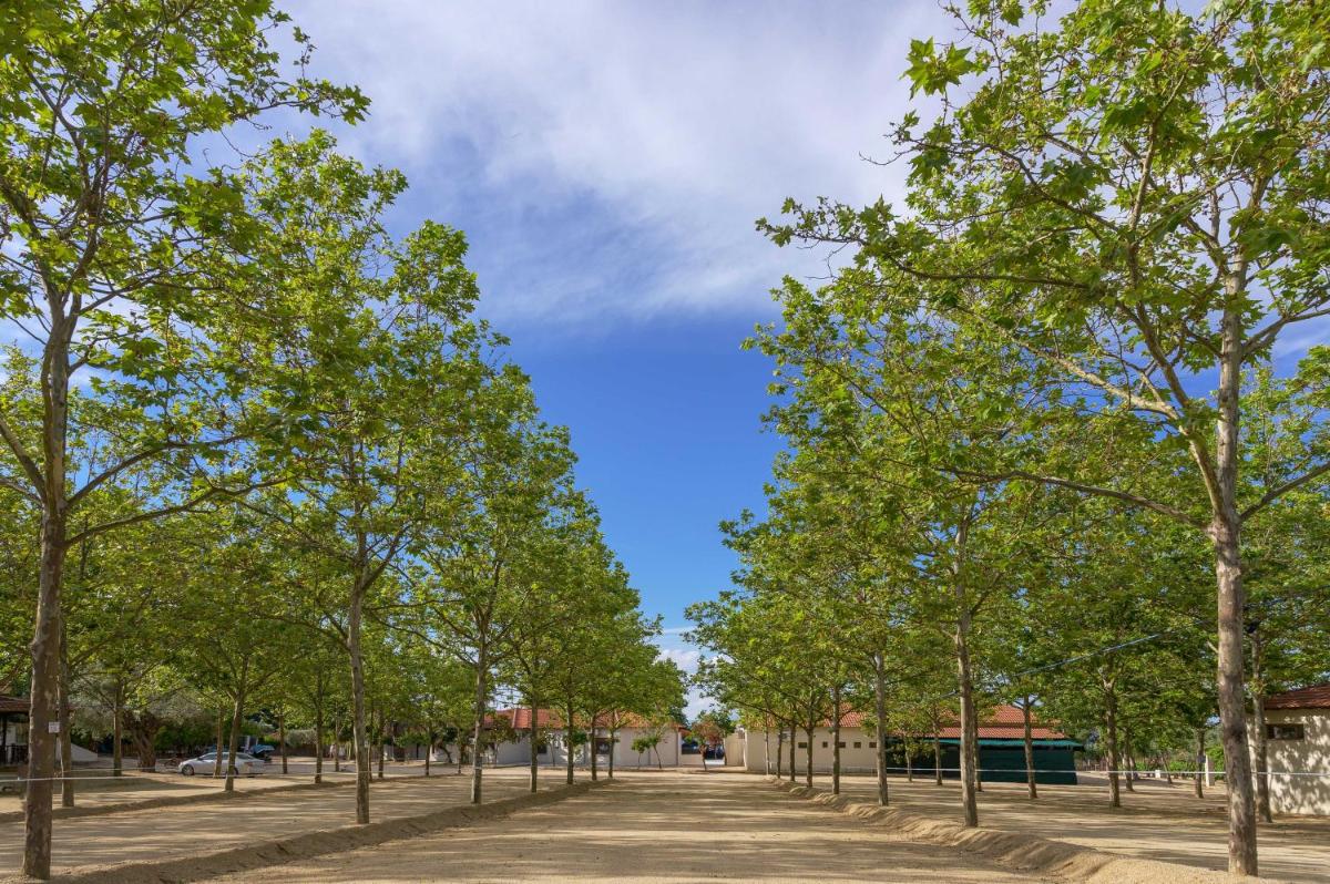 children's play area
