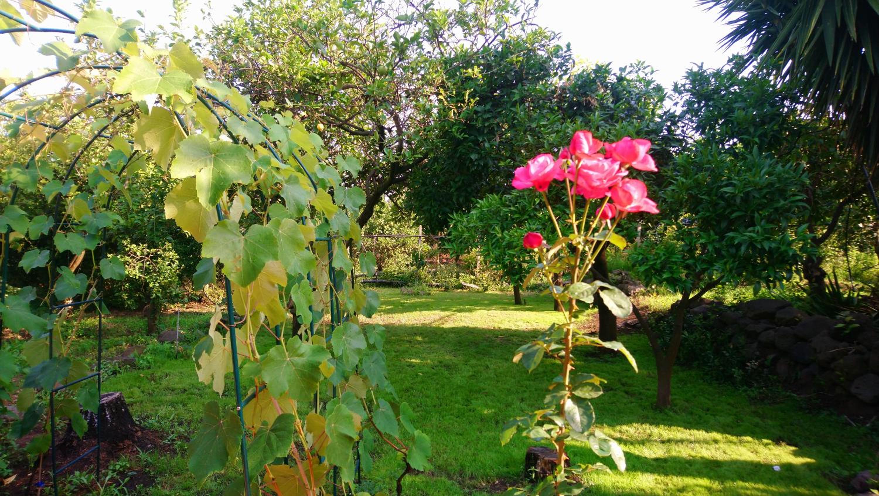 Photo 37