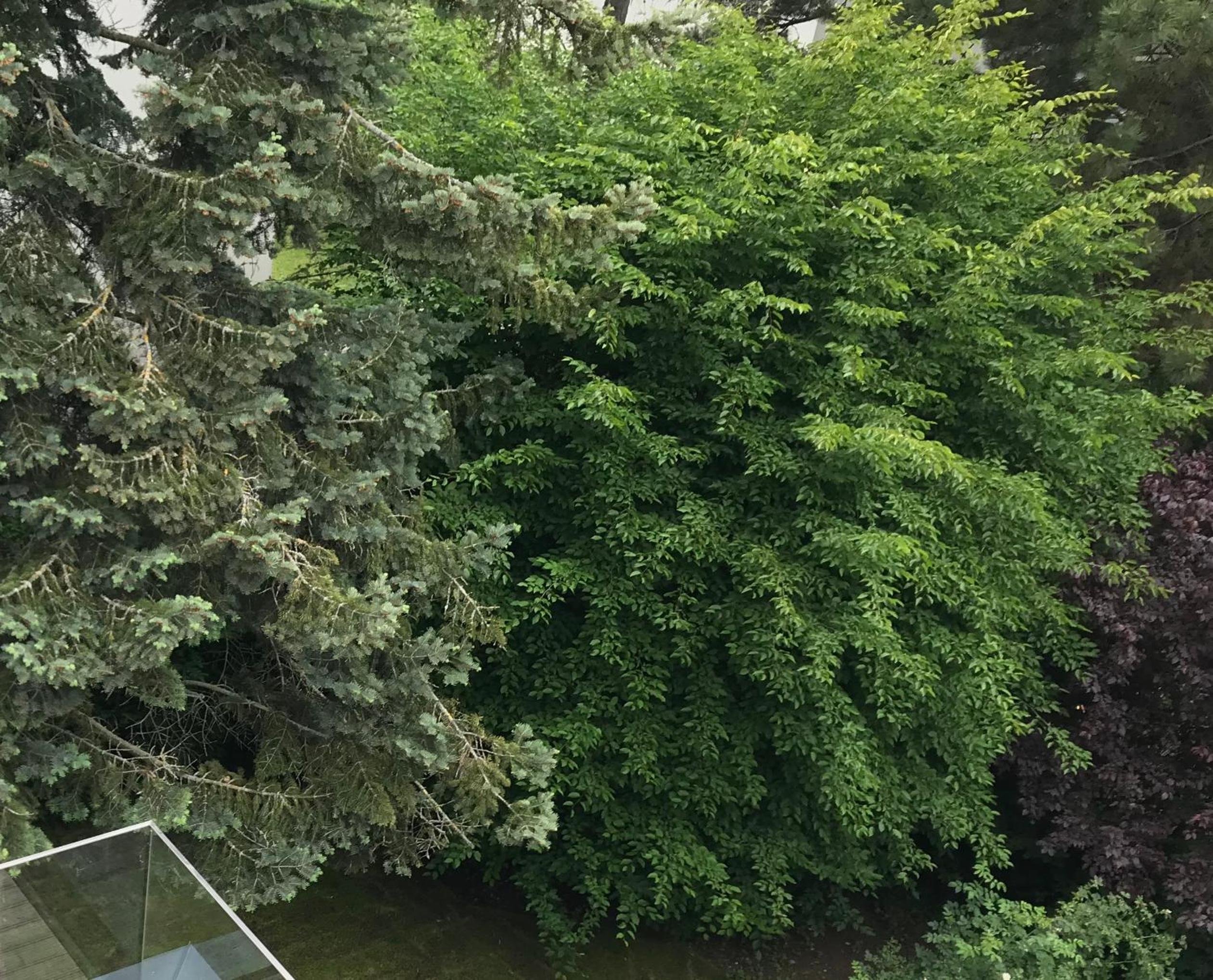 Premium Green Apartments Vienna