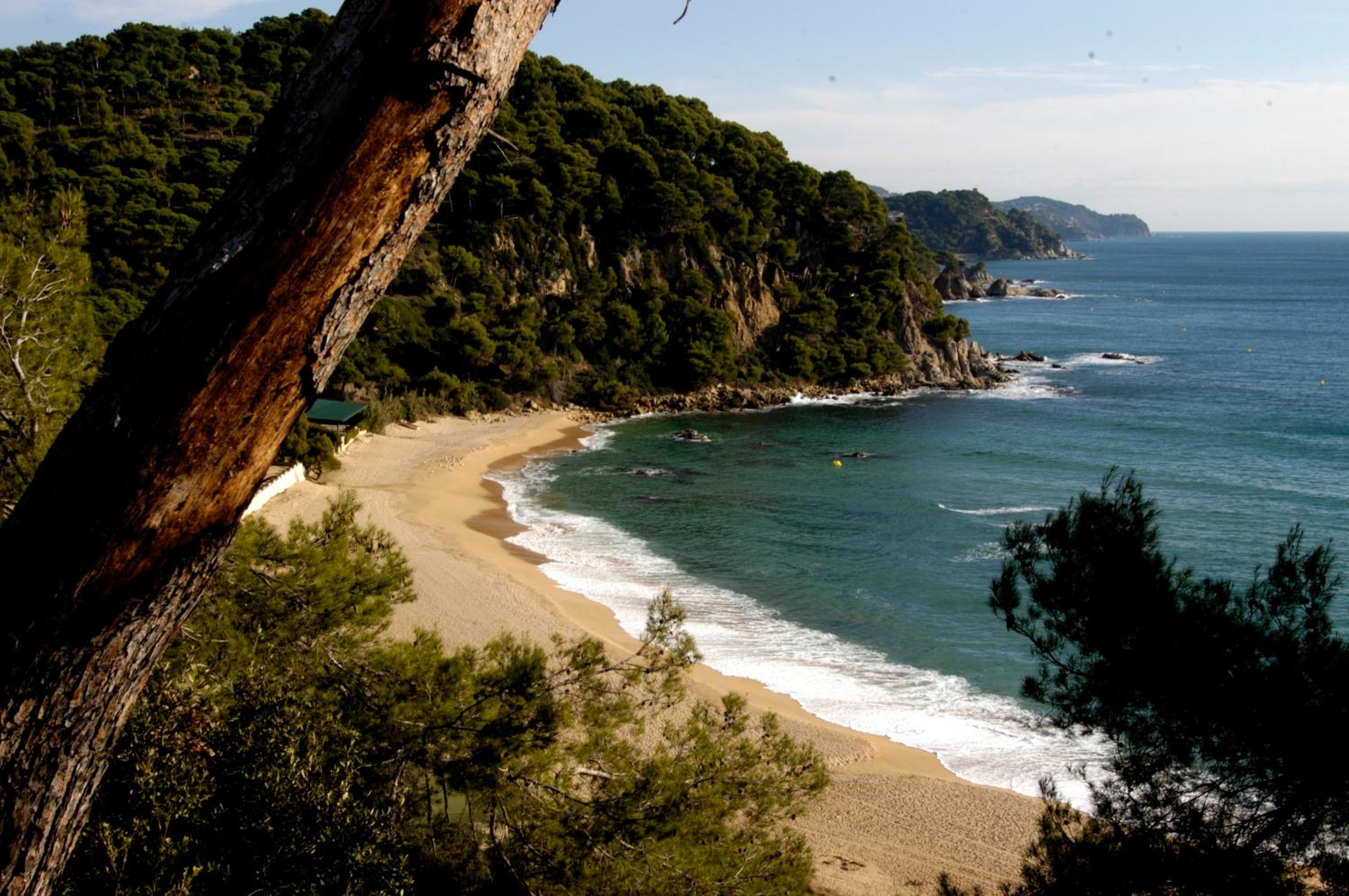 Apartments Lloret Sun — photo 31
