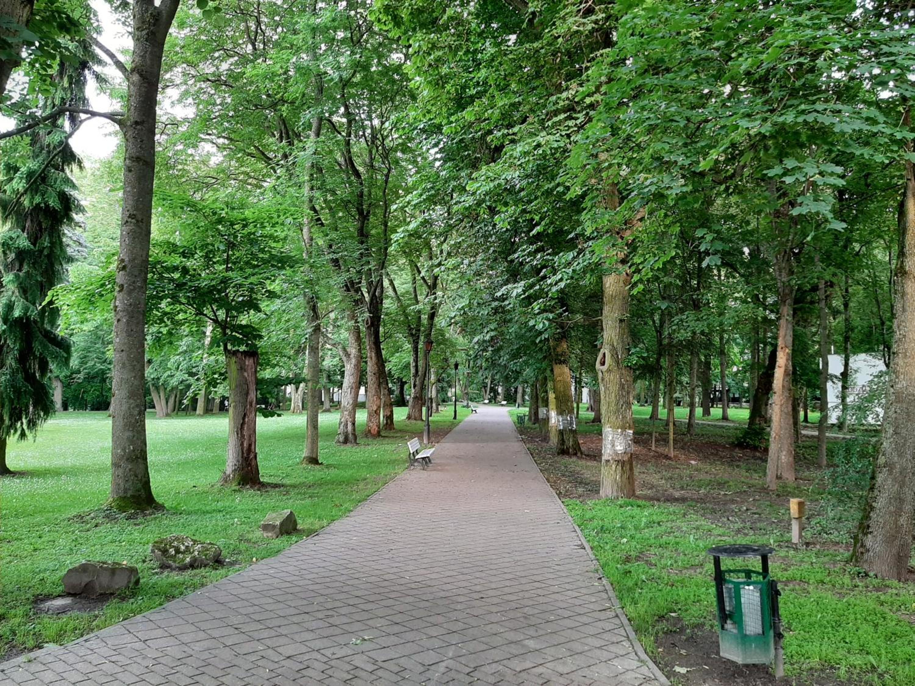 Photo 20