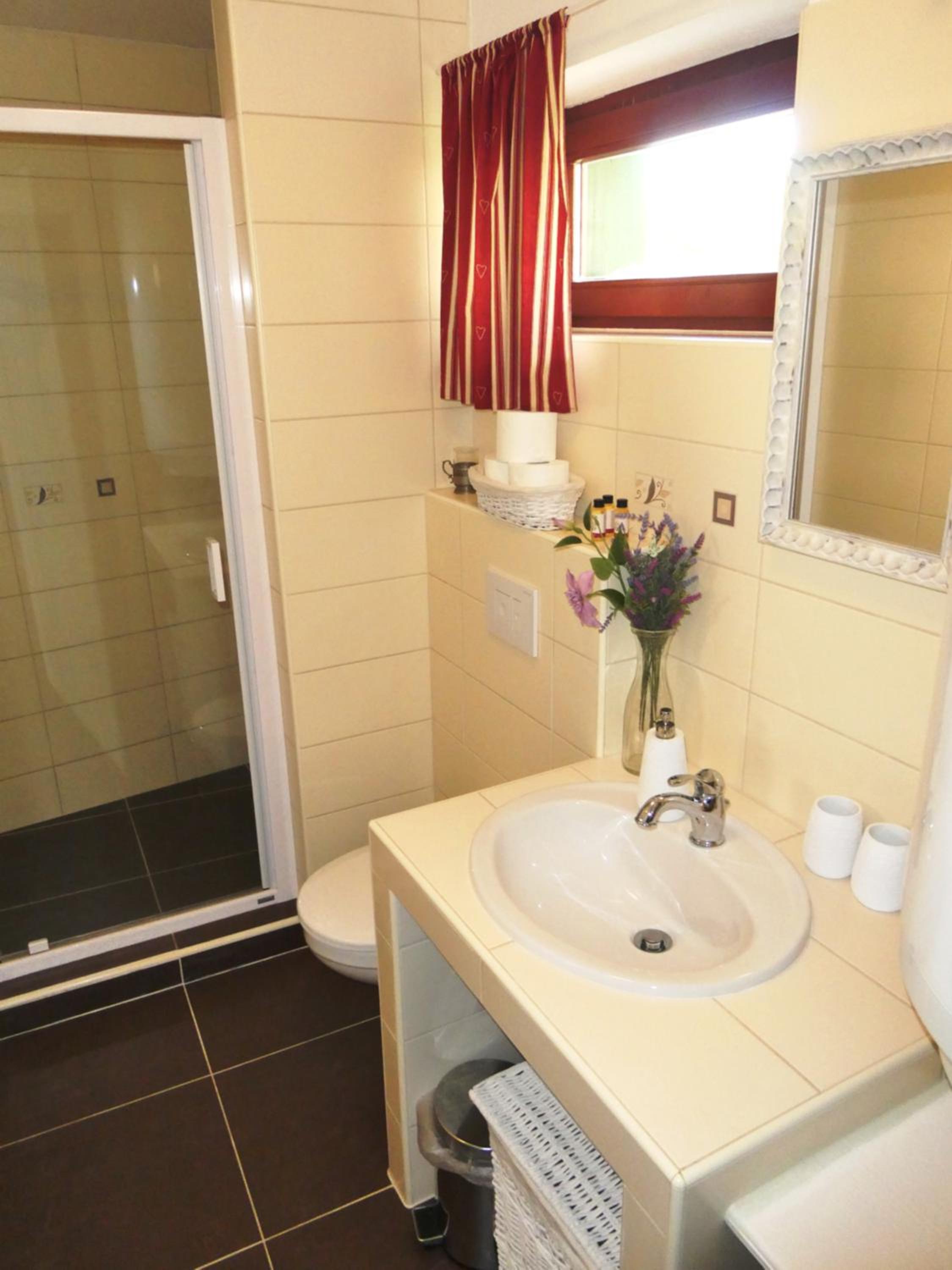 Apartmán Horšovský Týn view 4