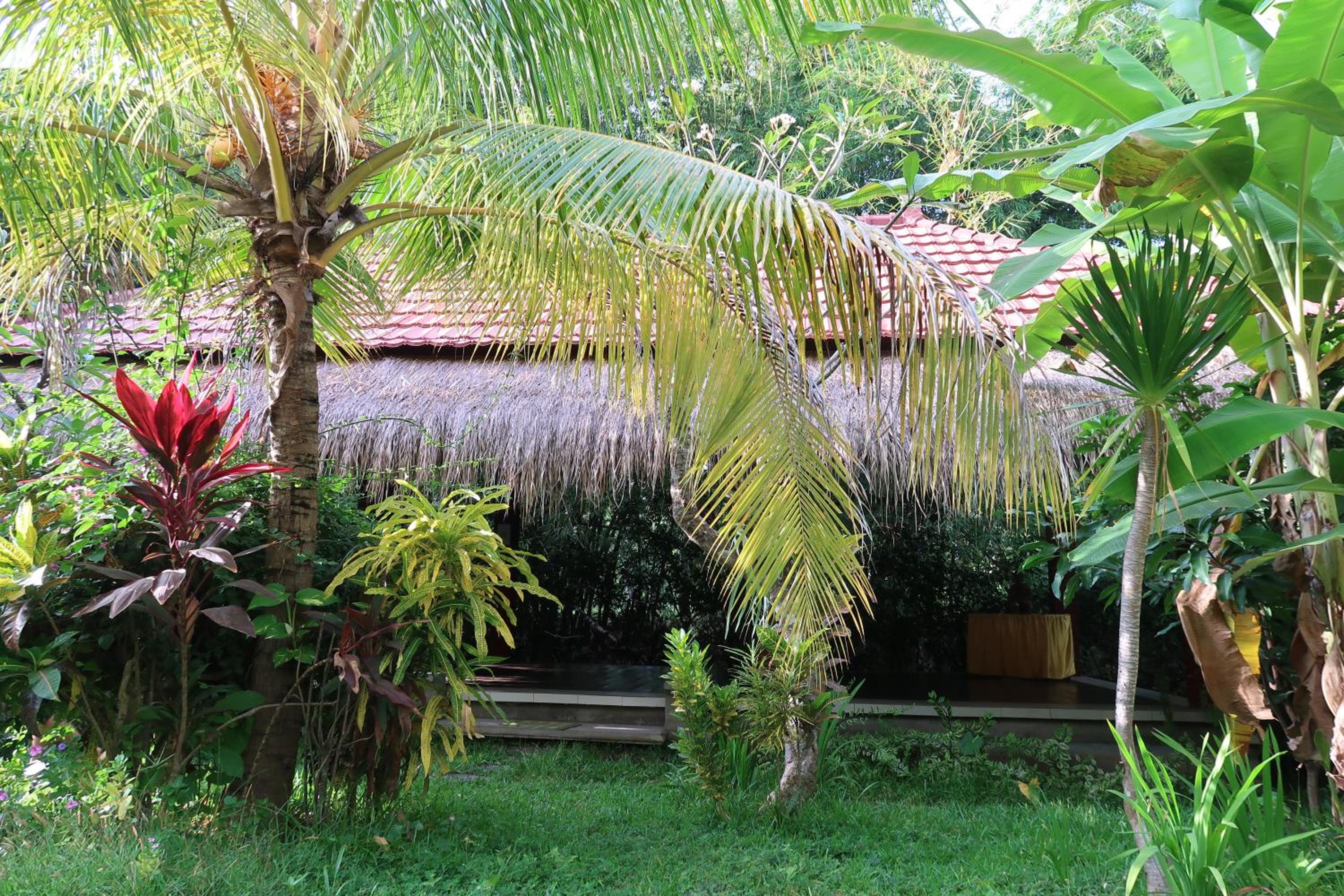 Photo 40