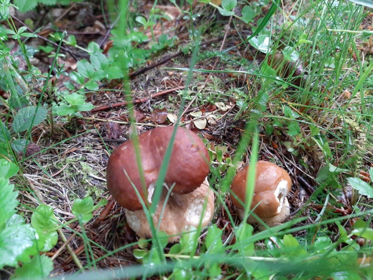 Photo 27