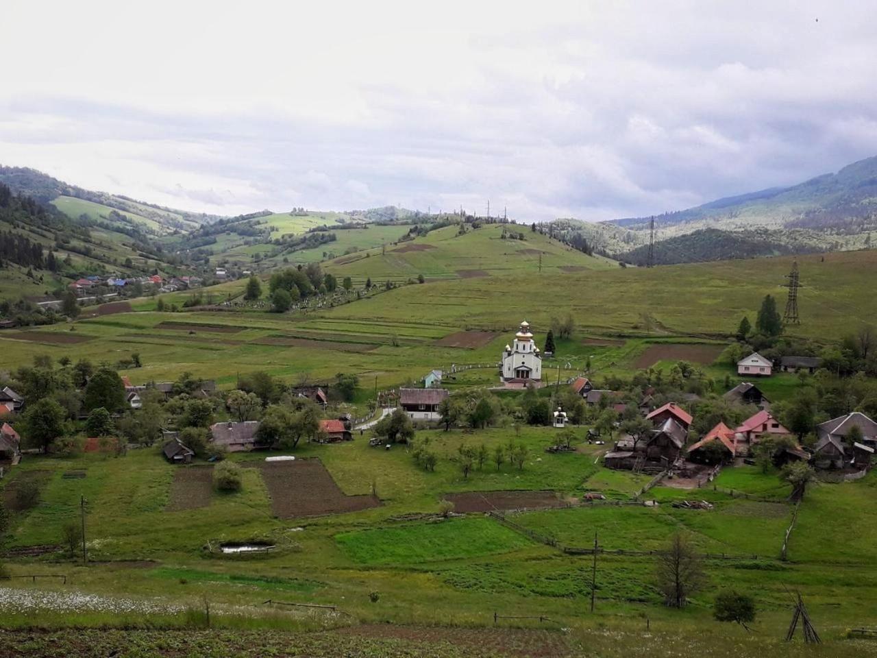 Photo 25