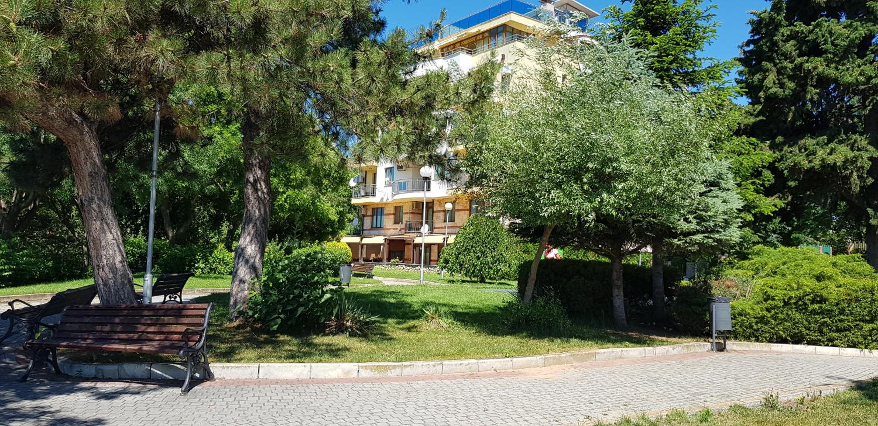 Photo 8