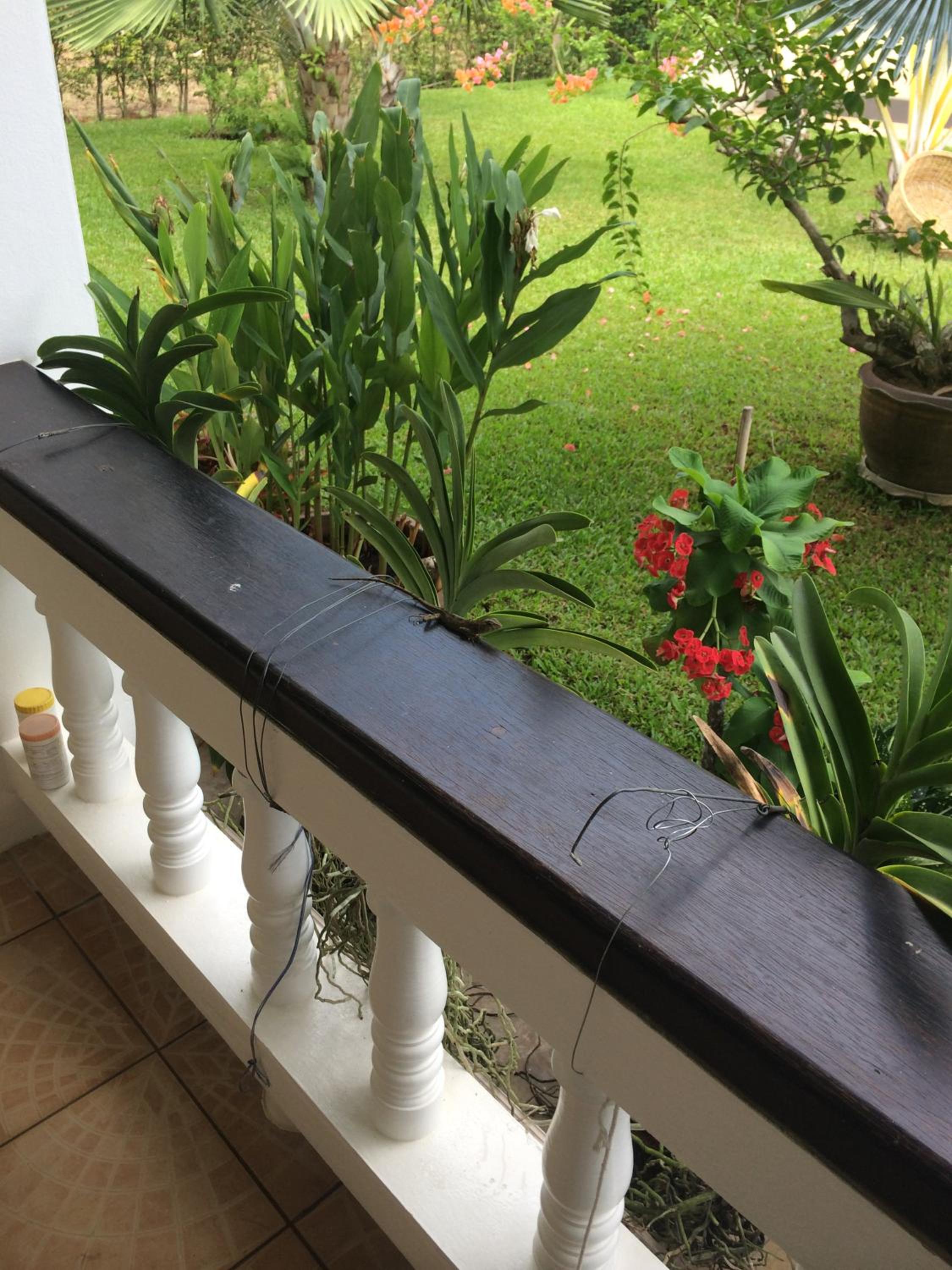 Palm Gardens Resort, Bang Saphan