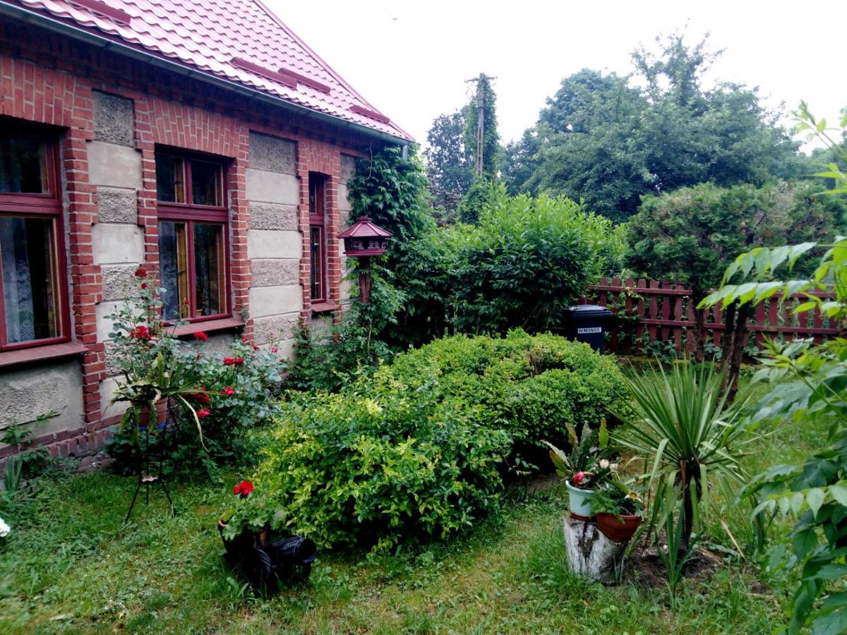 Photo 24