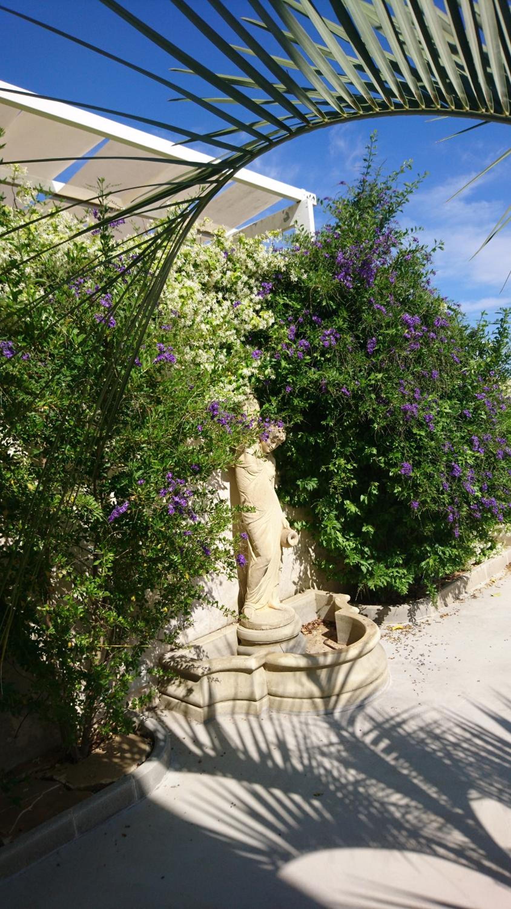 Stella Dei Campi
