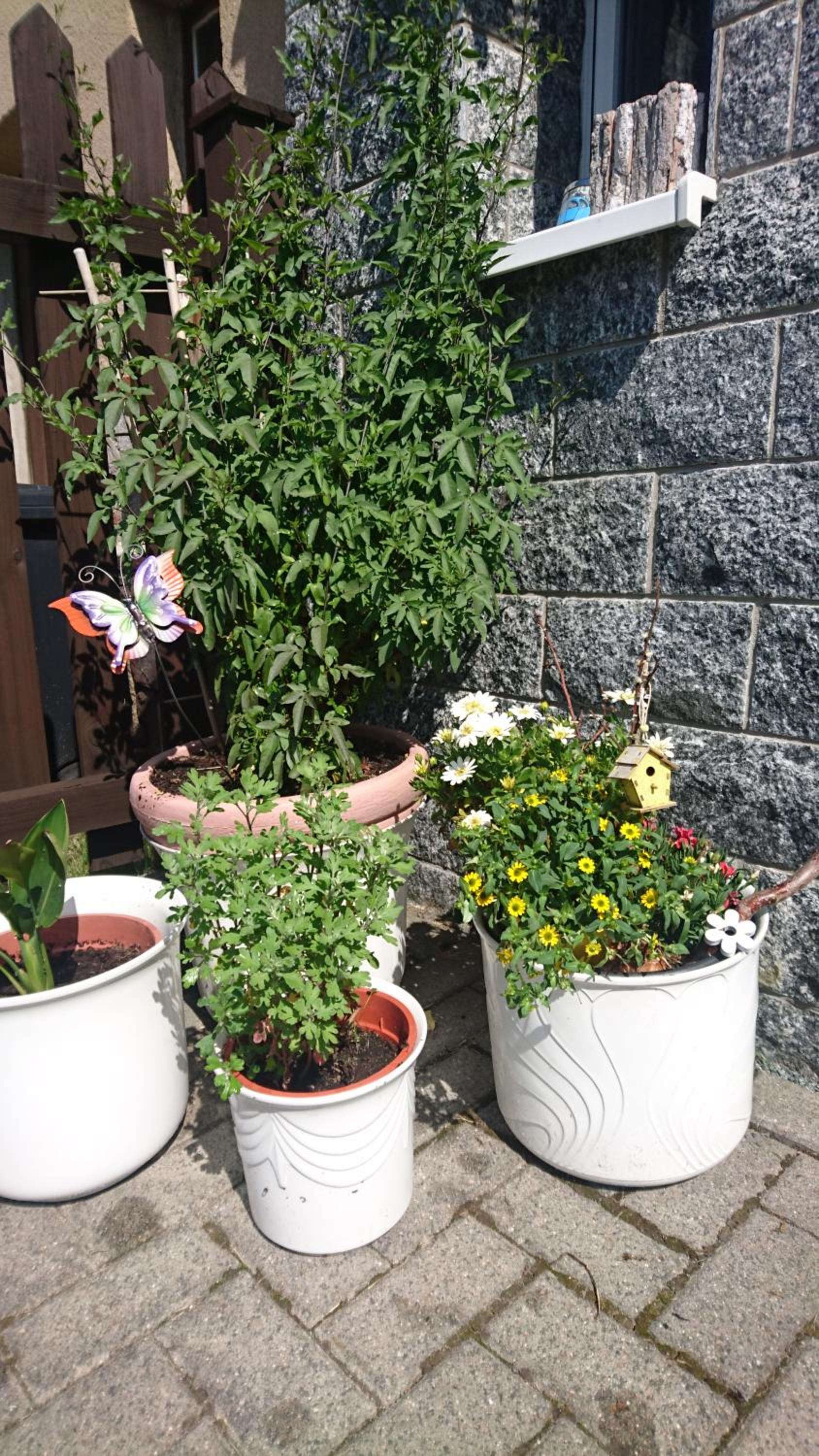 Ferienwohnung mit Garten und Spielplatz