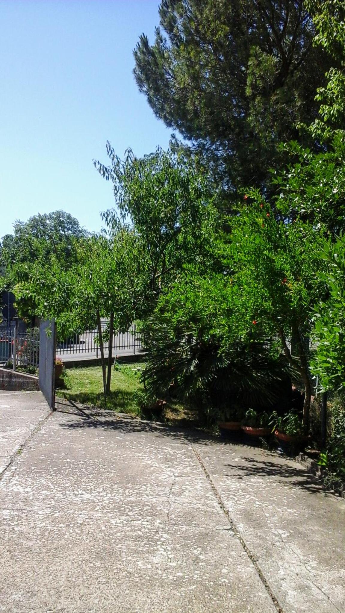 Photo 54