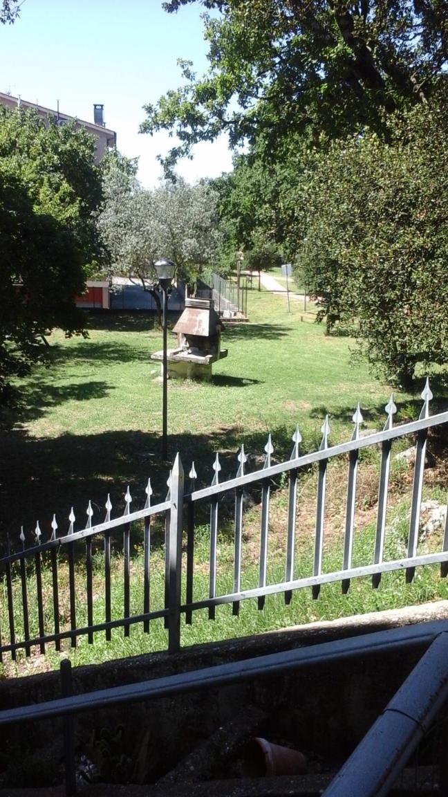 Photo 46