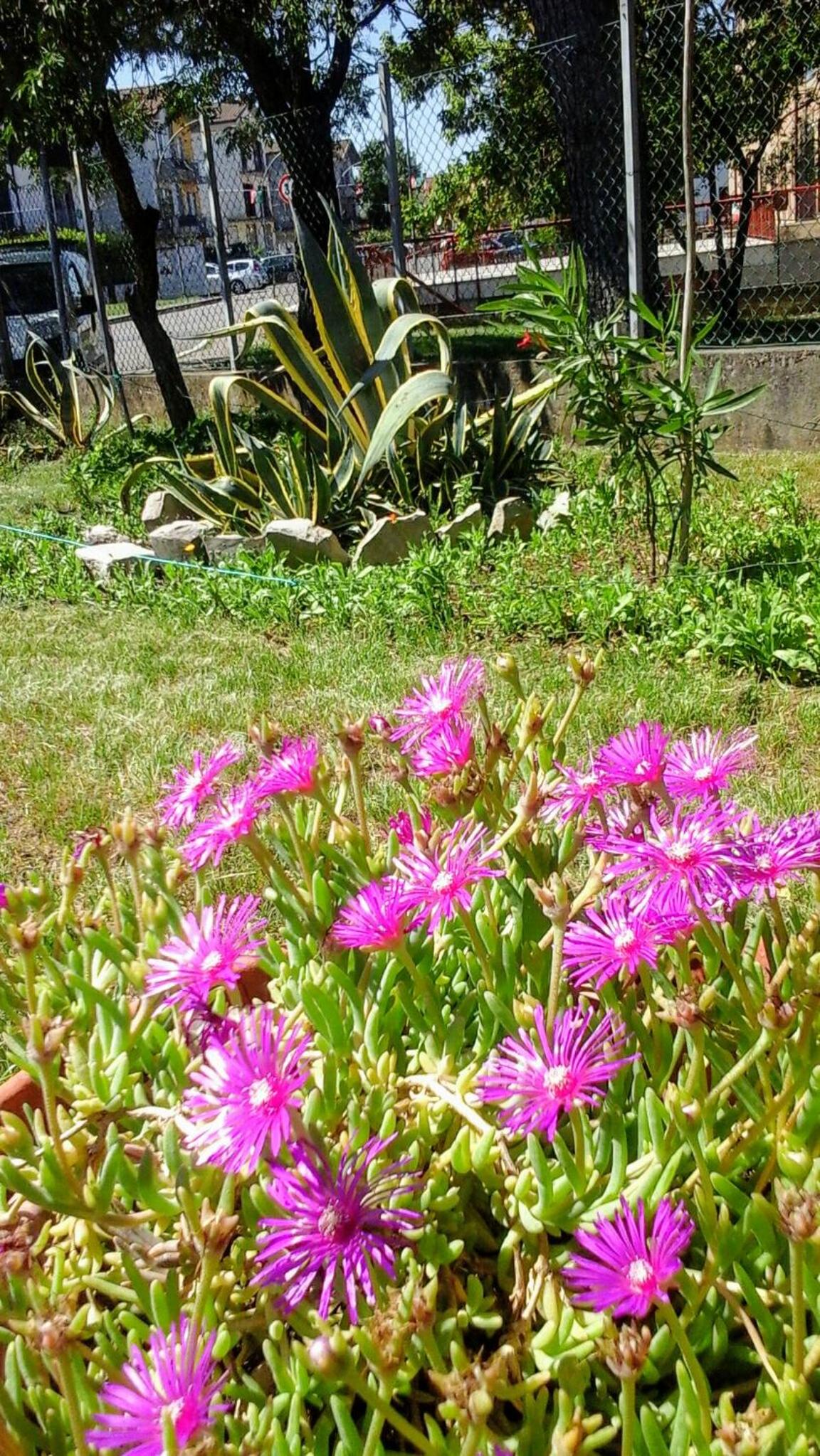 Photo 45