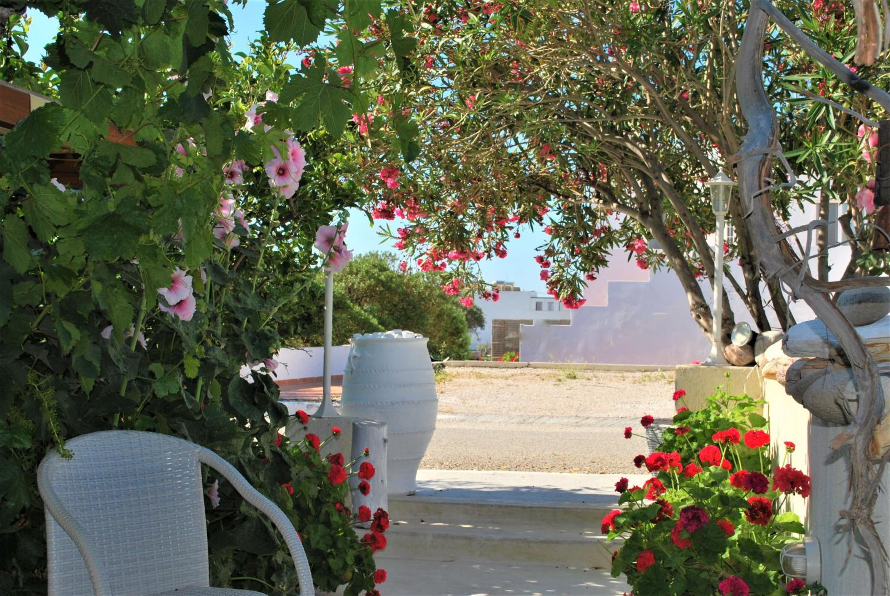 Photo 77