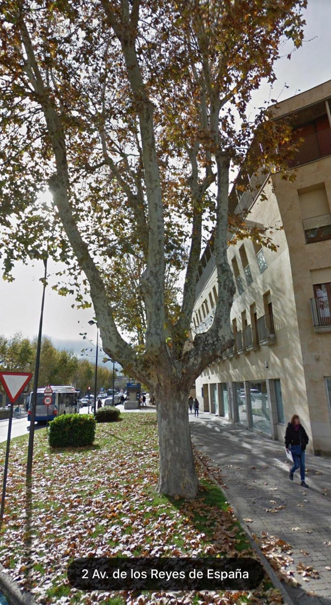 Catedrales Centro Parking opcional Aire acondicionado