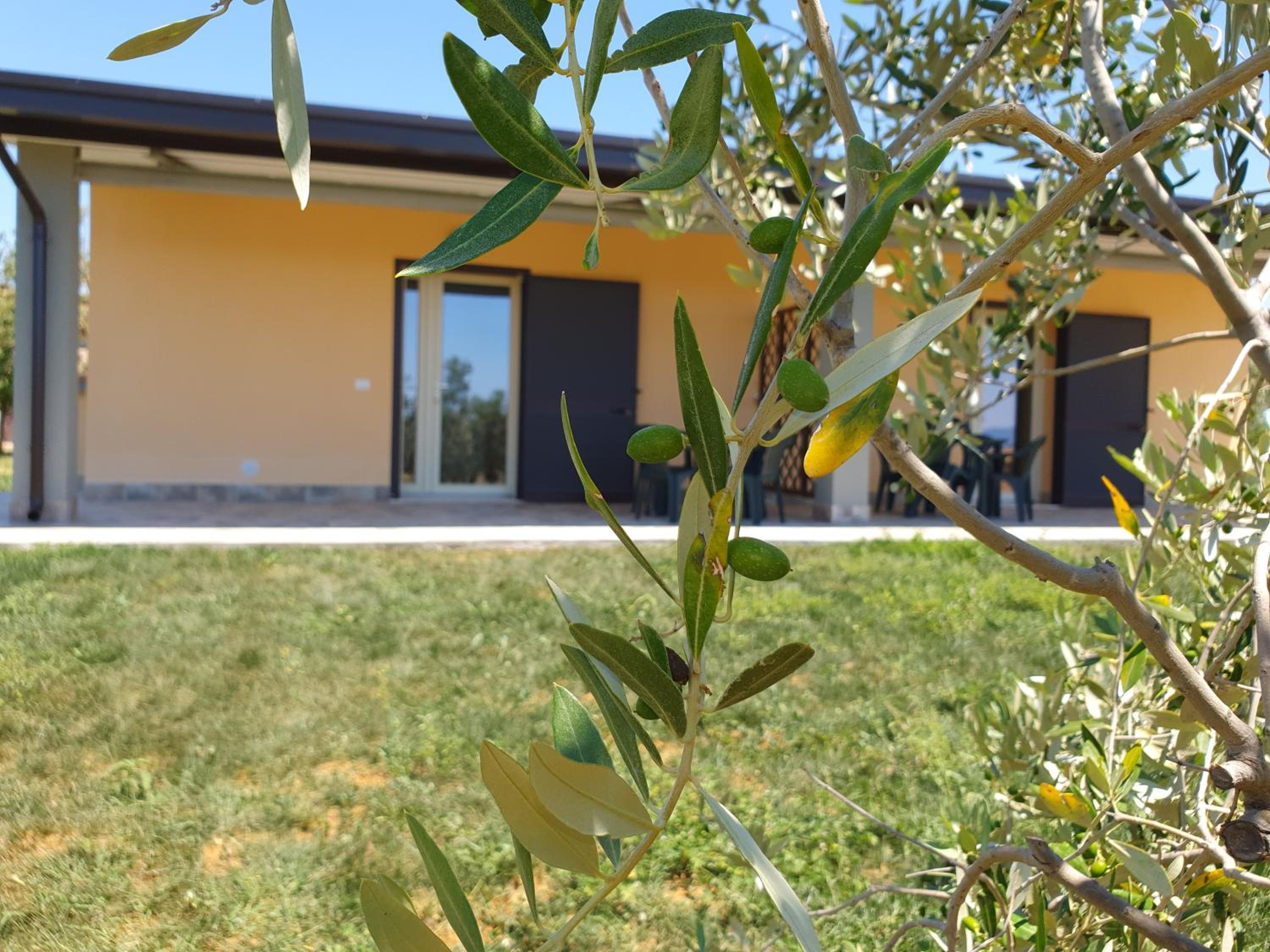 Agriturismo Severini