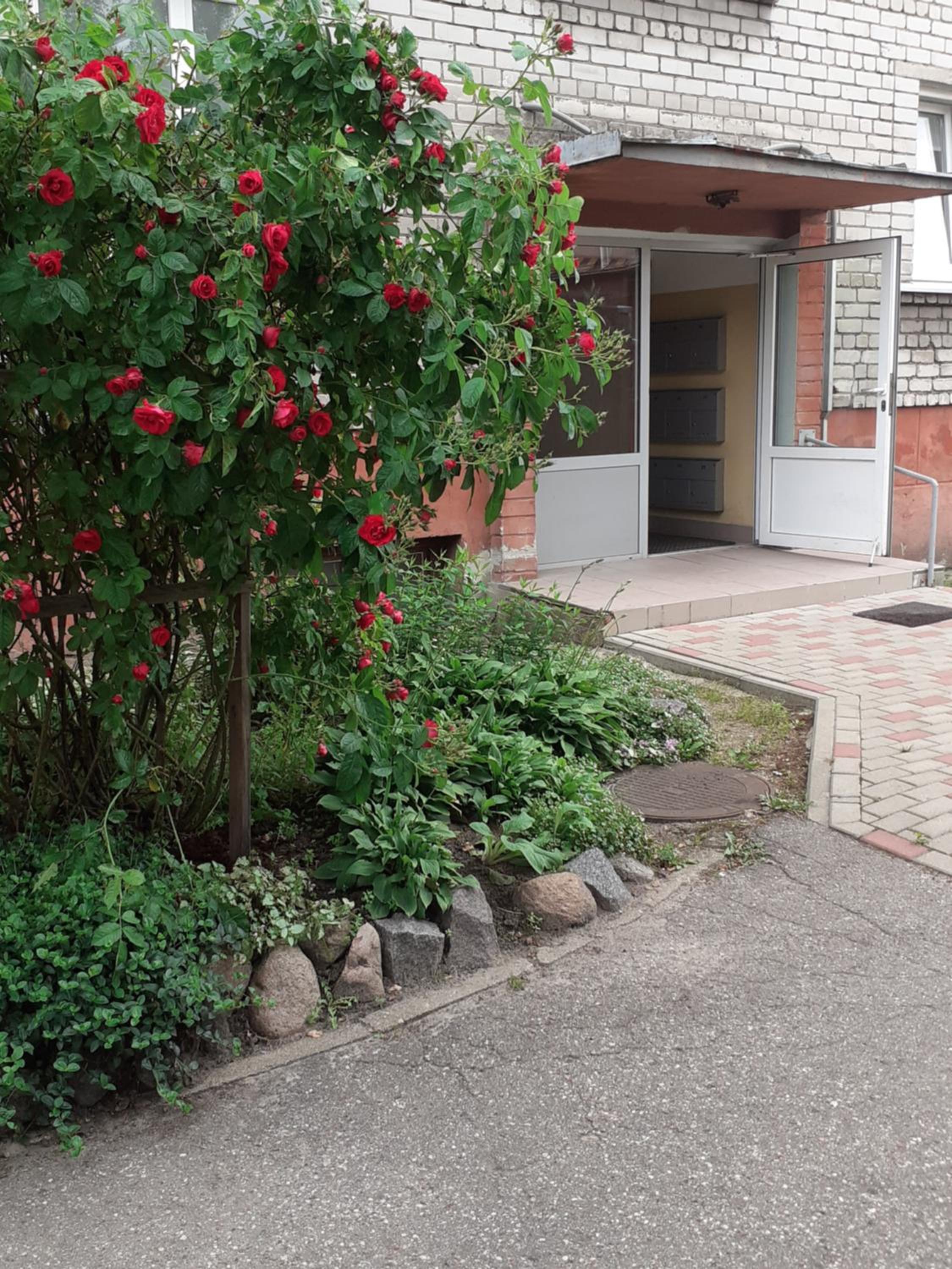 Photo 15