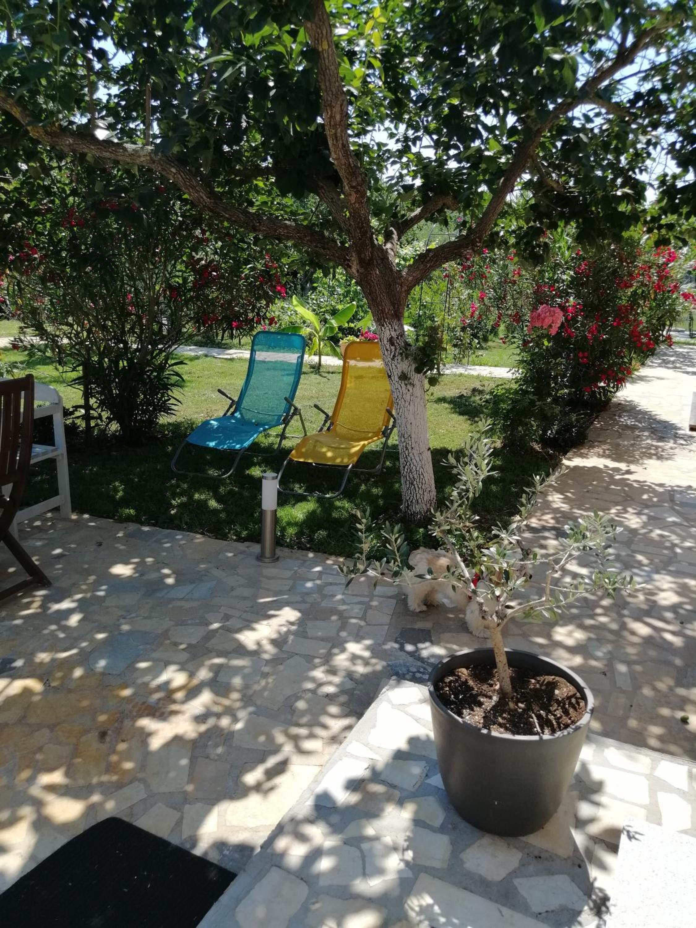 Photo 8