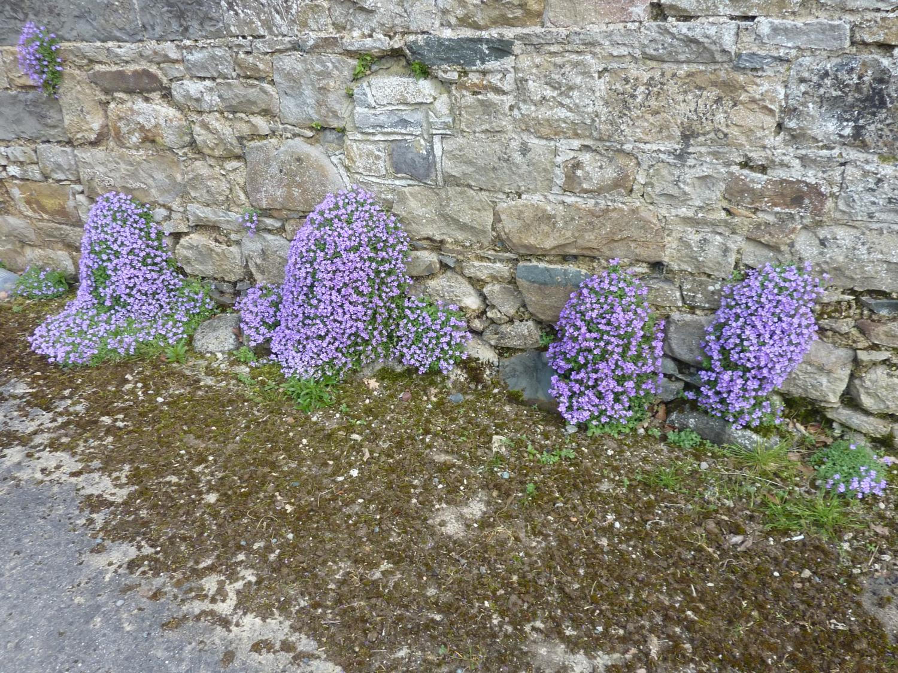 Photo 46