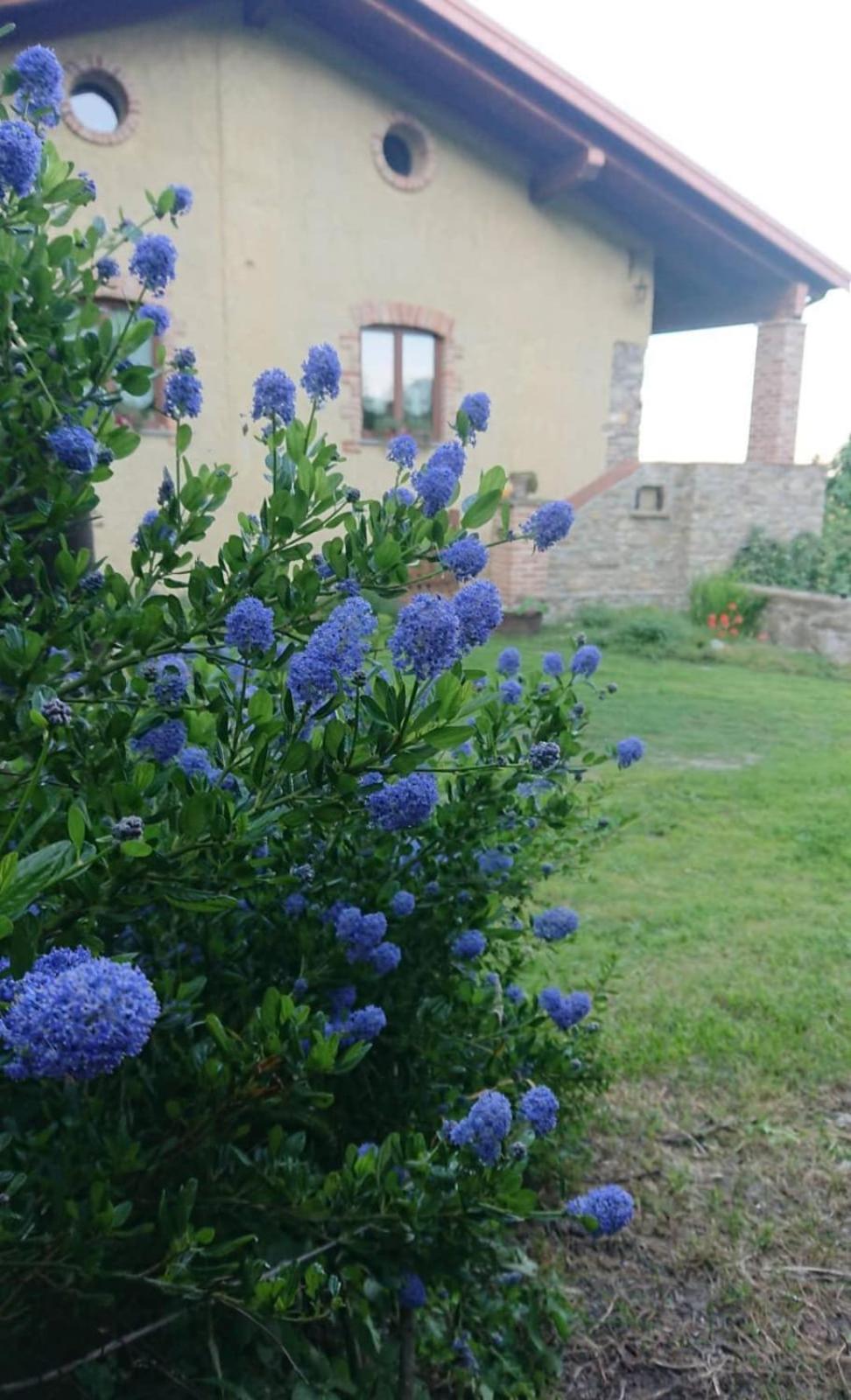 Photo 45