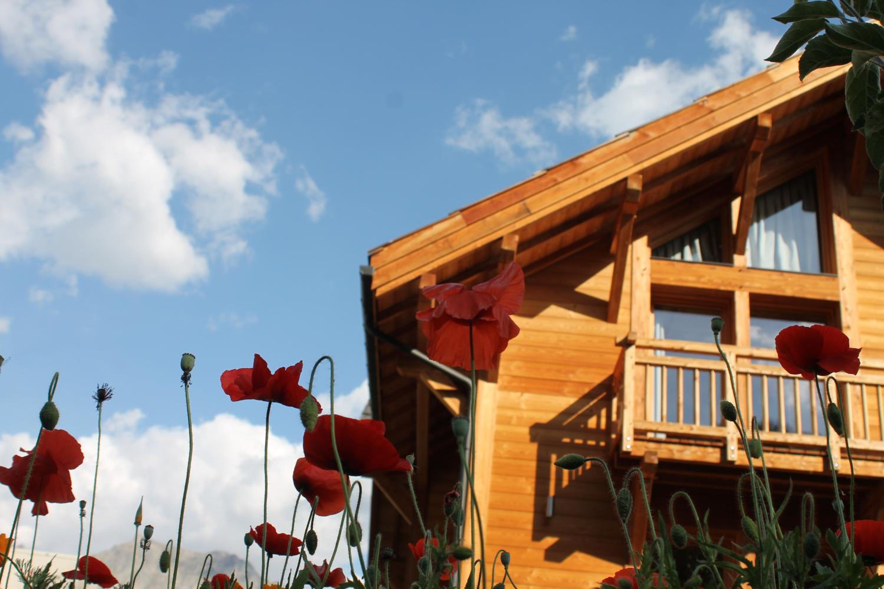 Puy-Saint-Vincent Vacations - Maison Puy Saint Vincent - Property Image 29