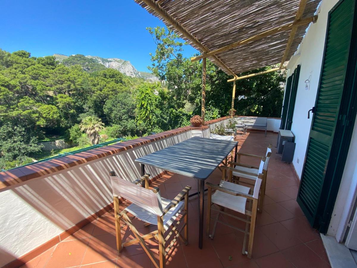 Regina di Capri - villa Occhio Marino - photo 4