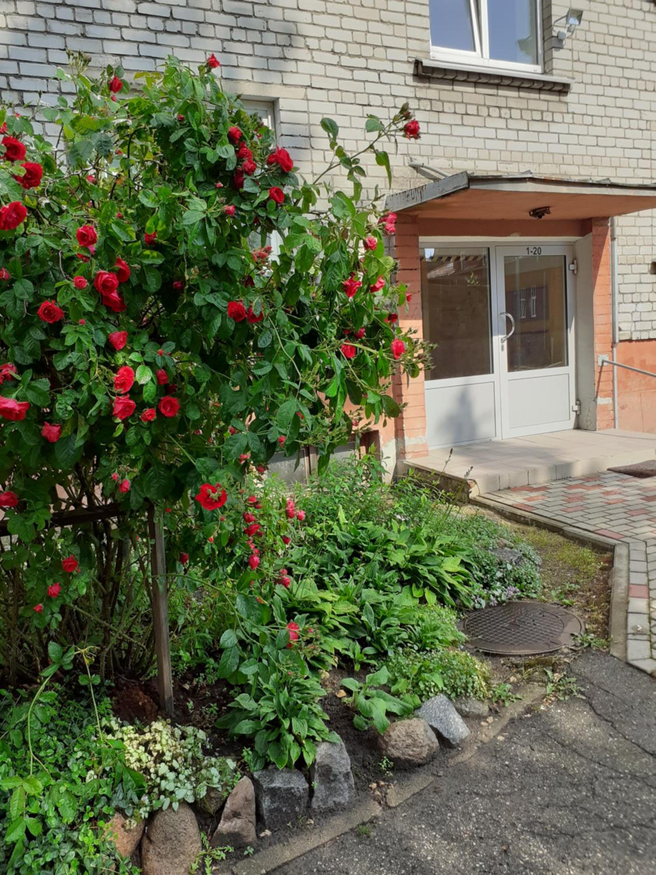 Photo 14