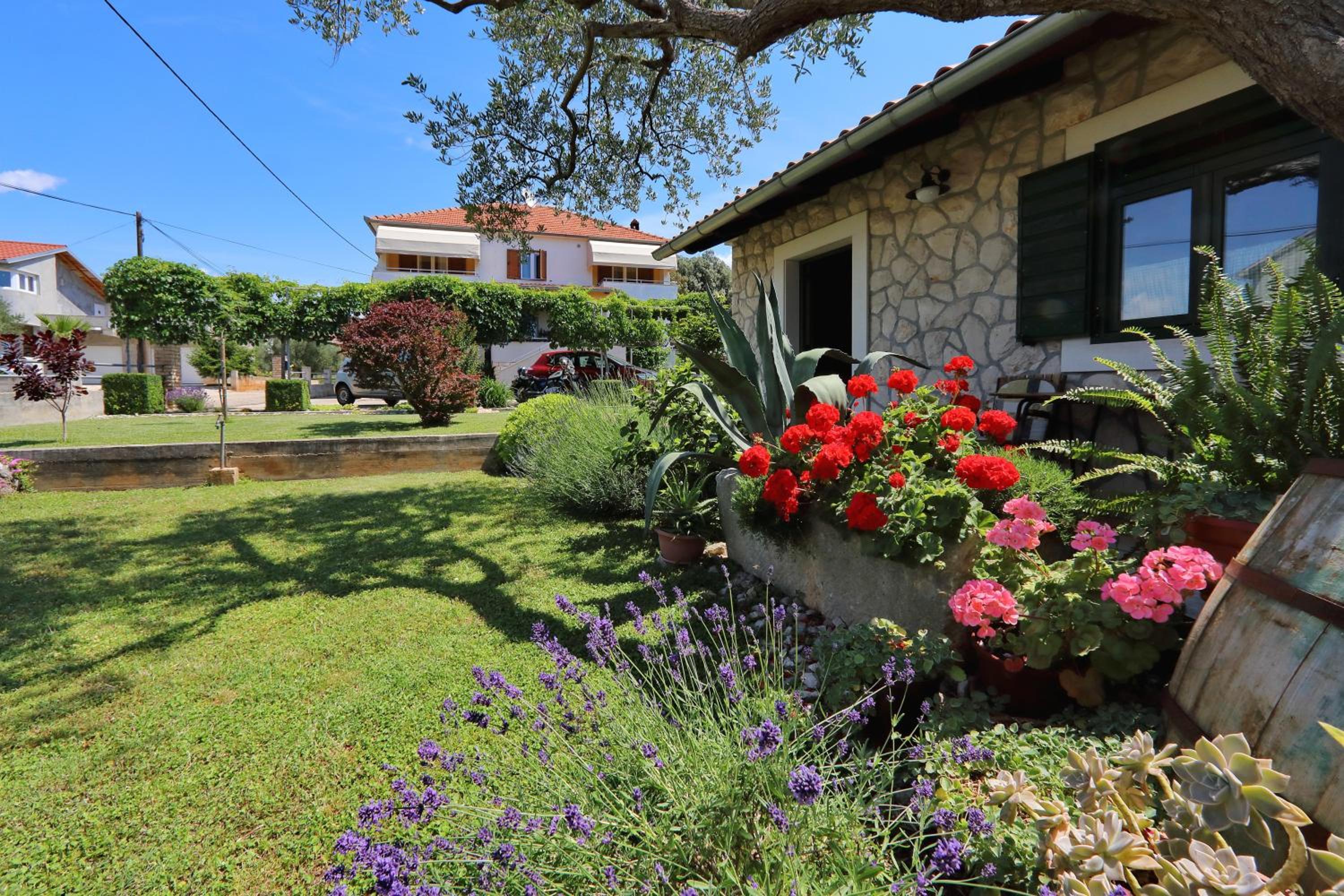 Apartmani Marta view 3