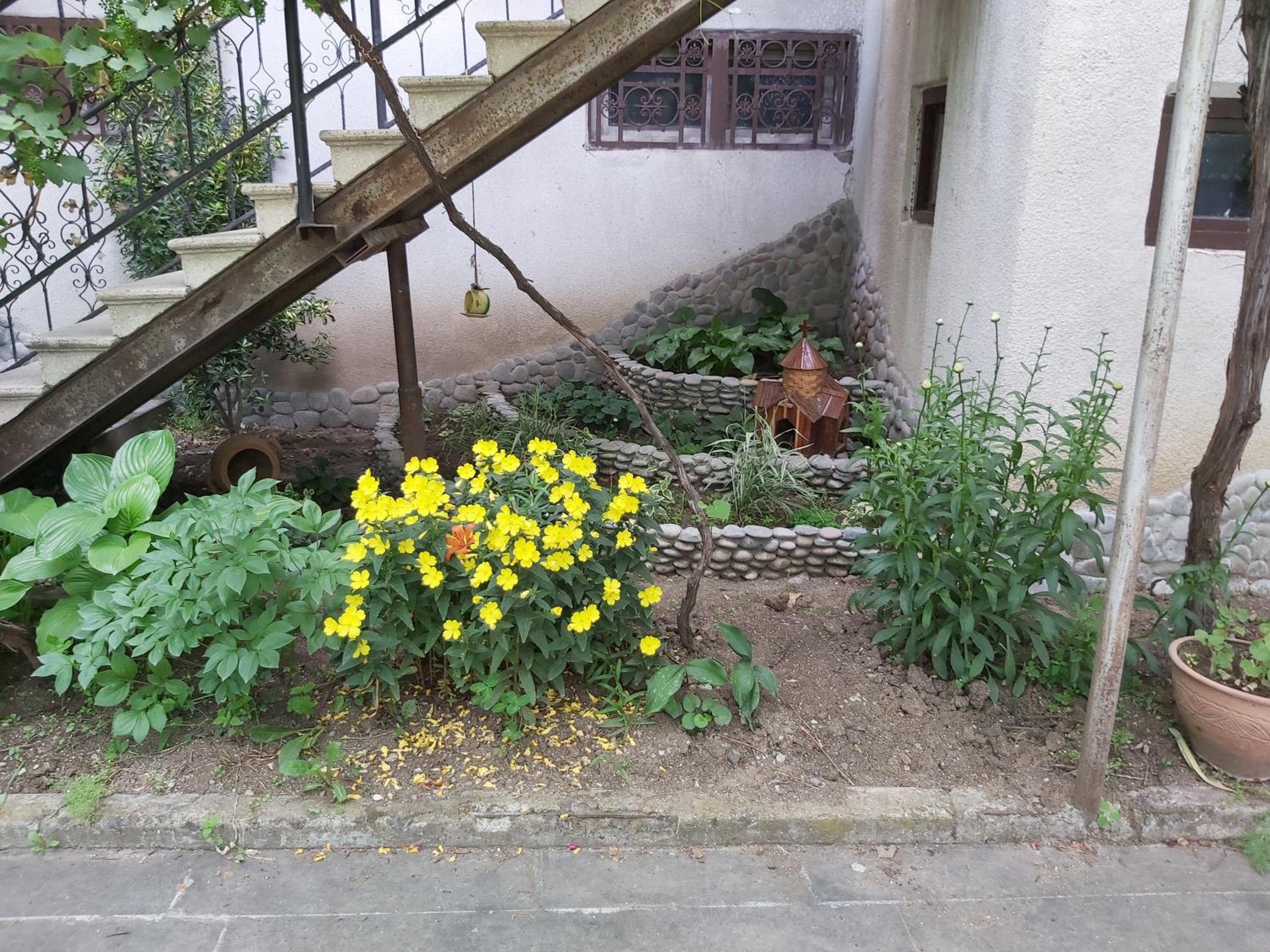 Olimpo Guest House view 2