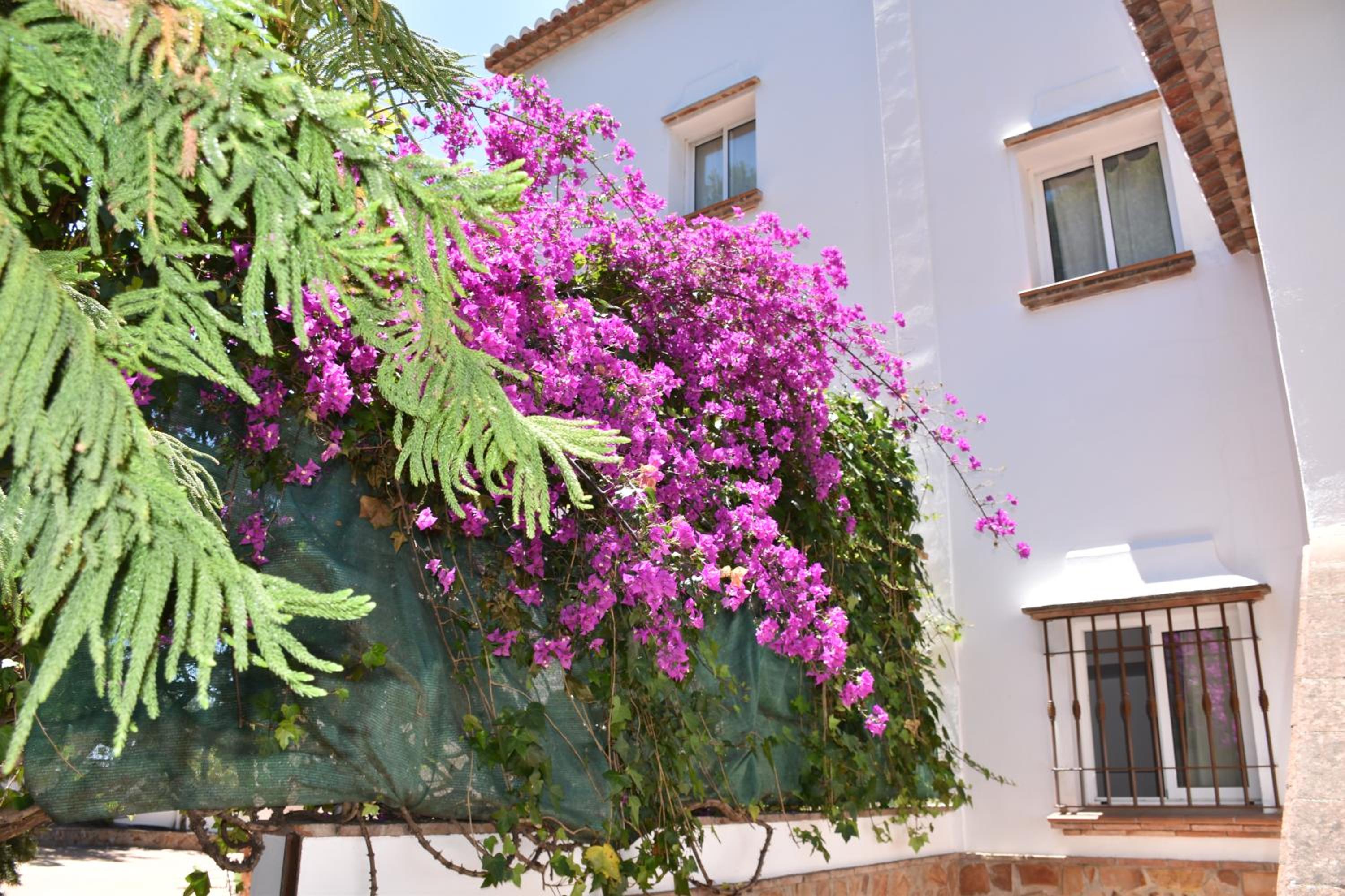 Villa Pelae view 2