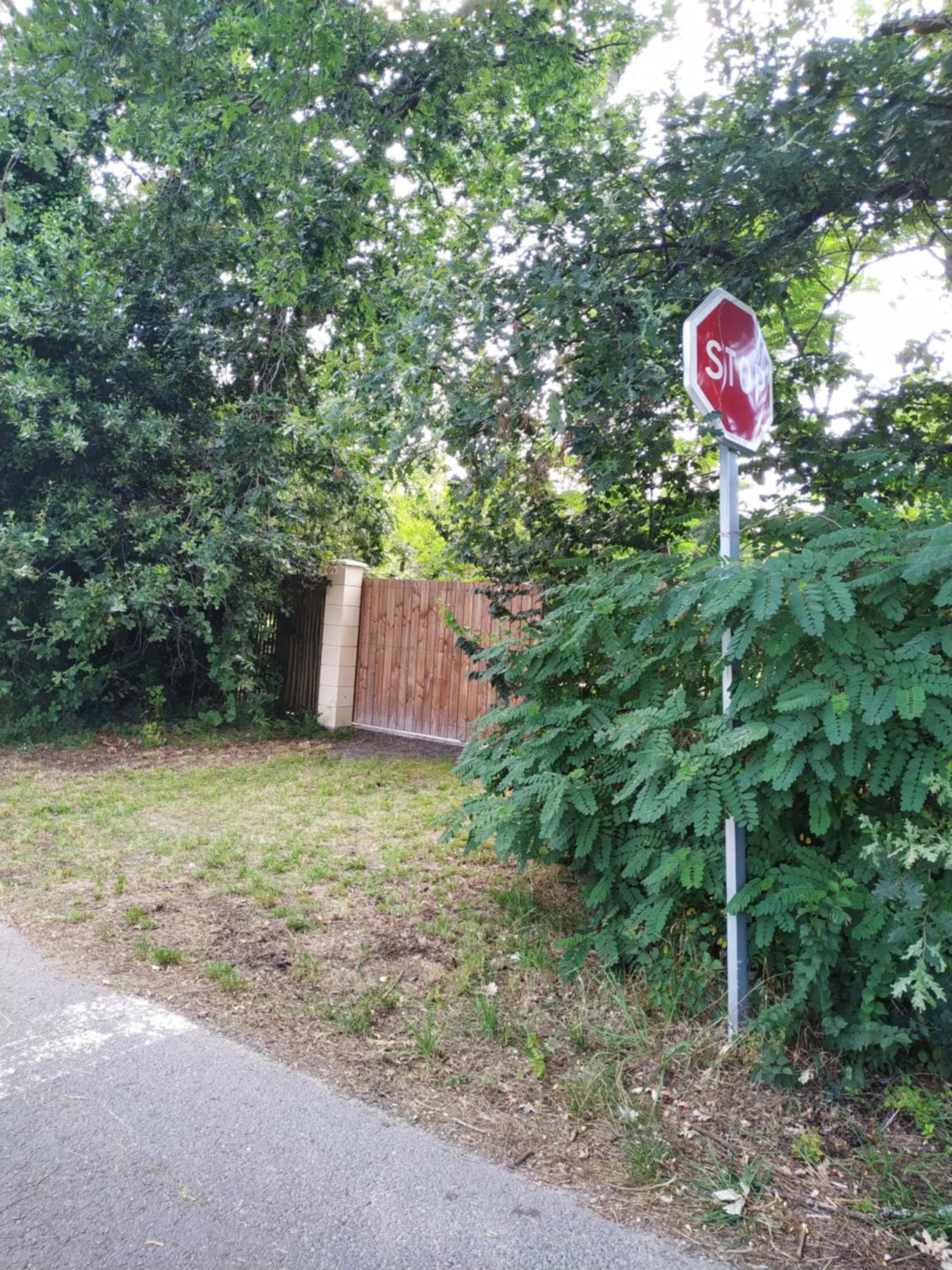 Les roulottes Vesta, photo 31