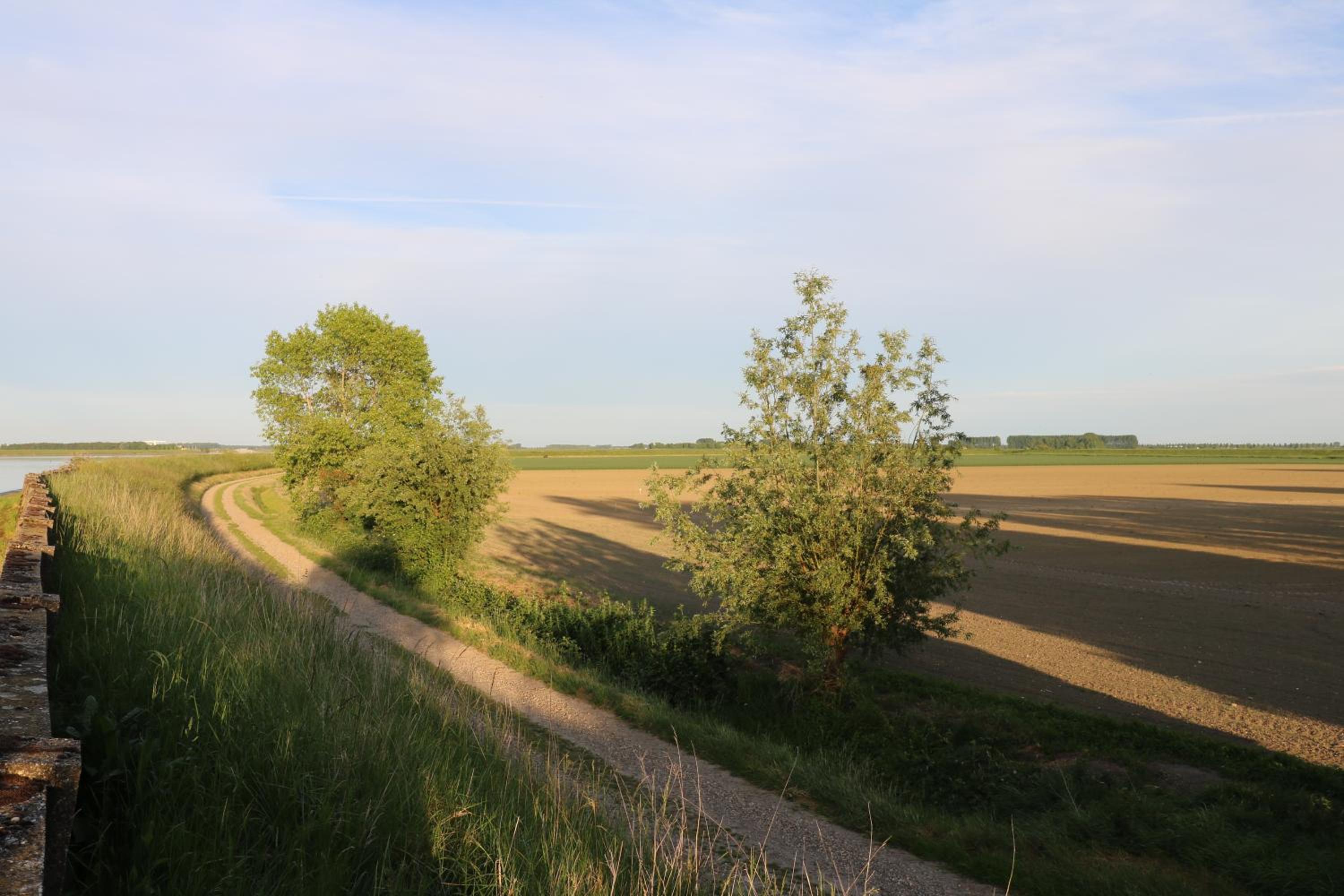 Photo 37