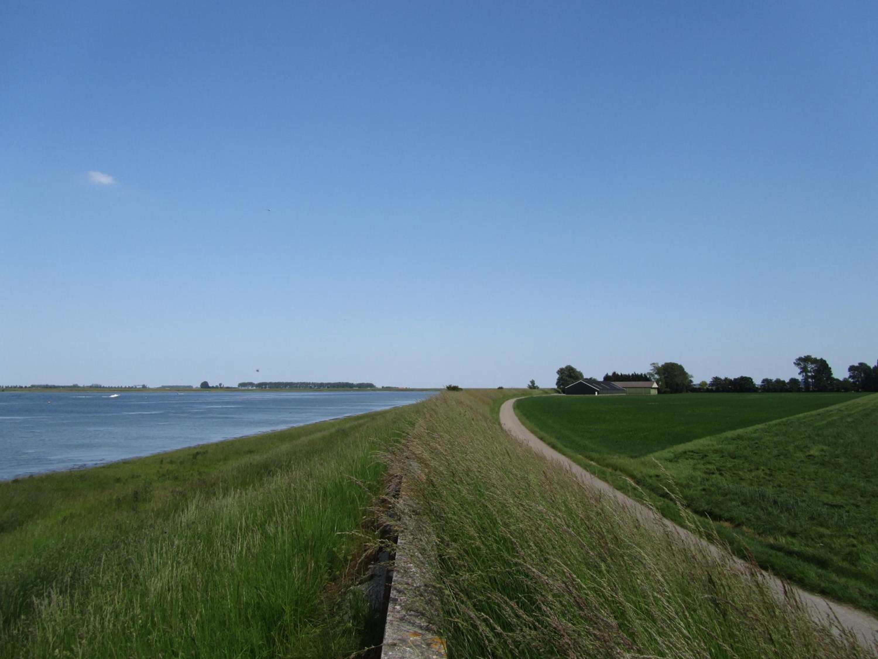 Photo 42