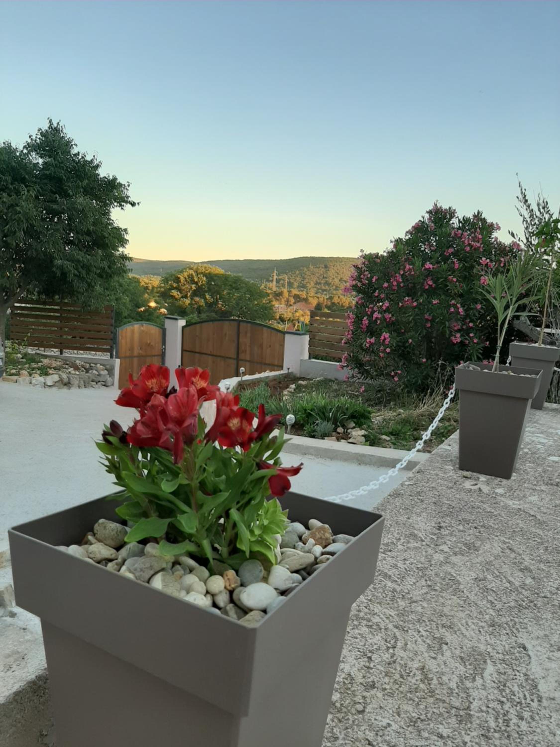 House FoRest view 2