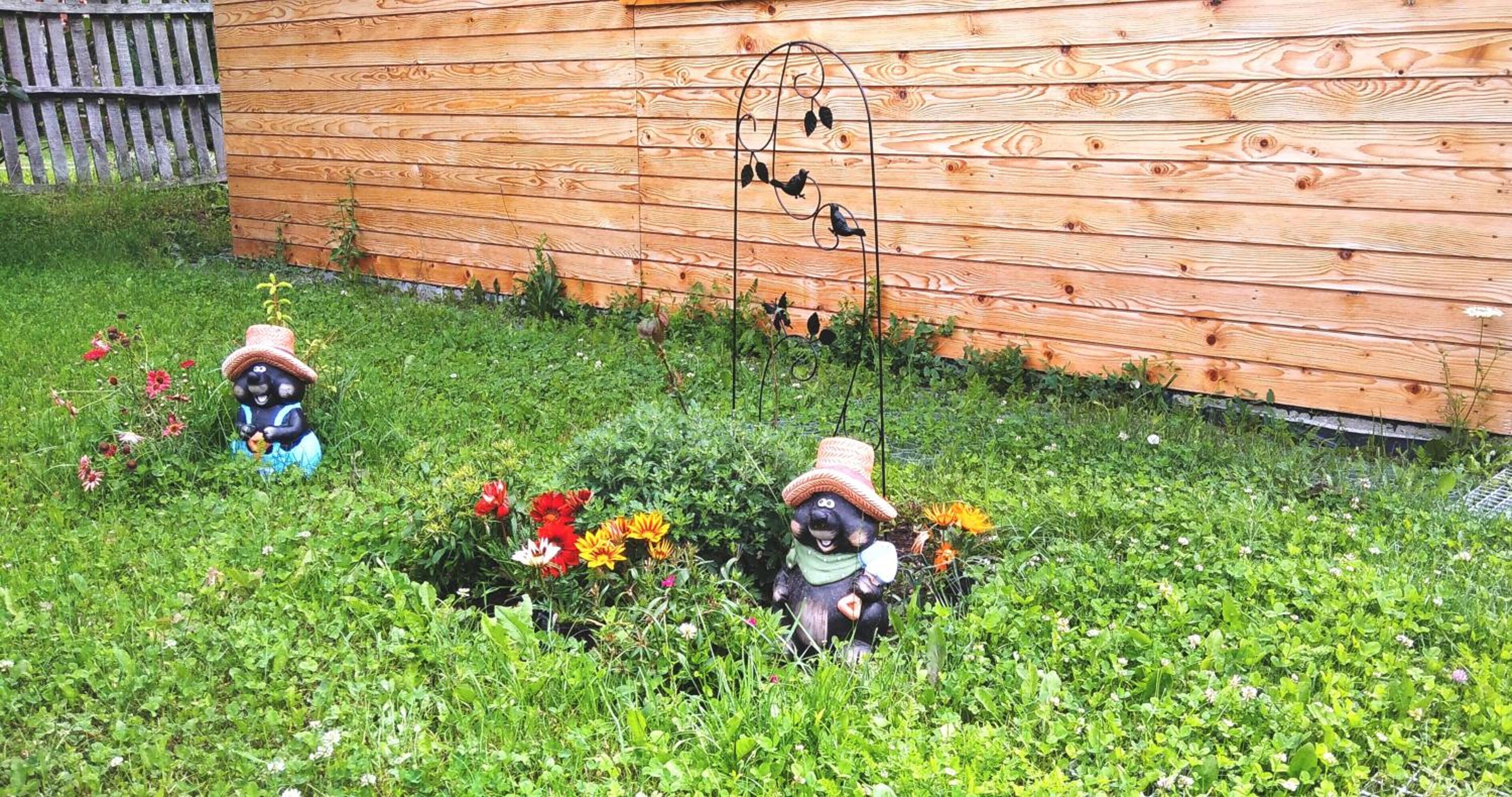 Photo 36