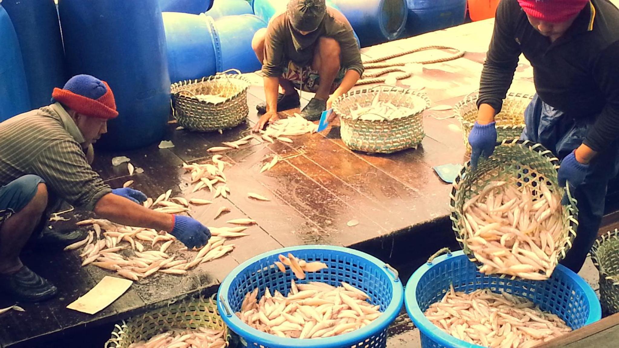 Pangkor Fish House, photo 31