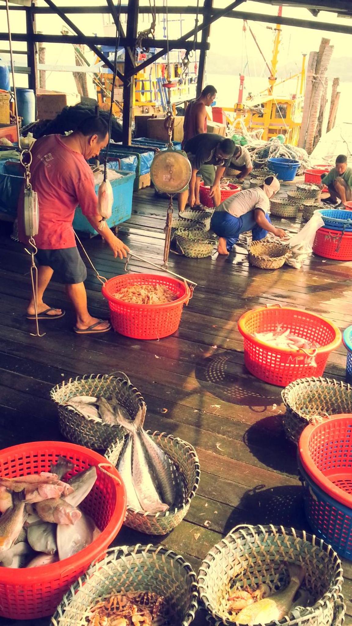 Pangkor Fish House, photo 52